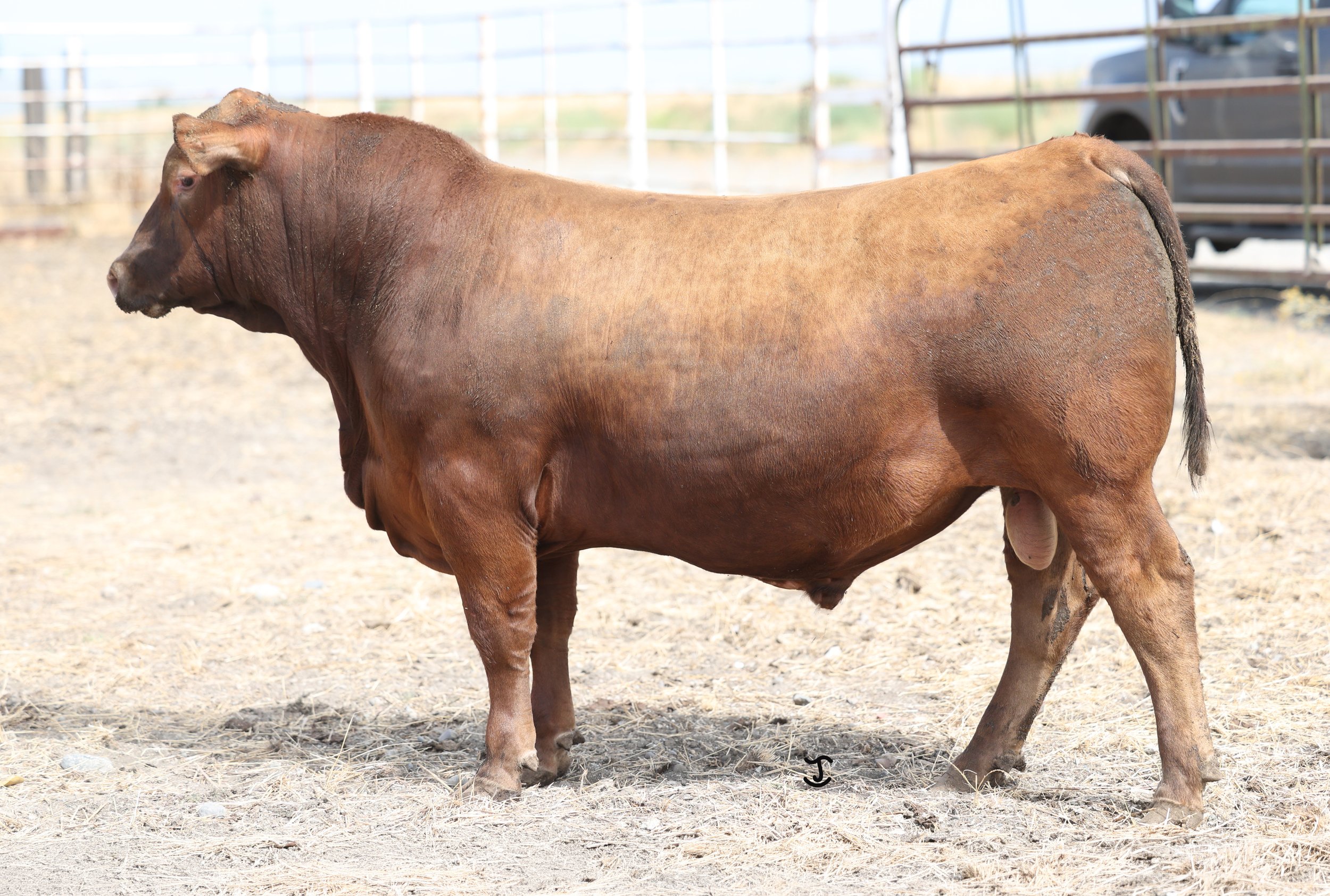 Lot 1 N110 