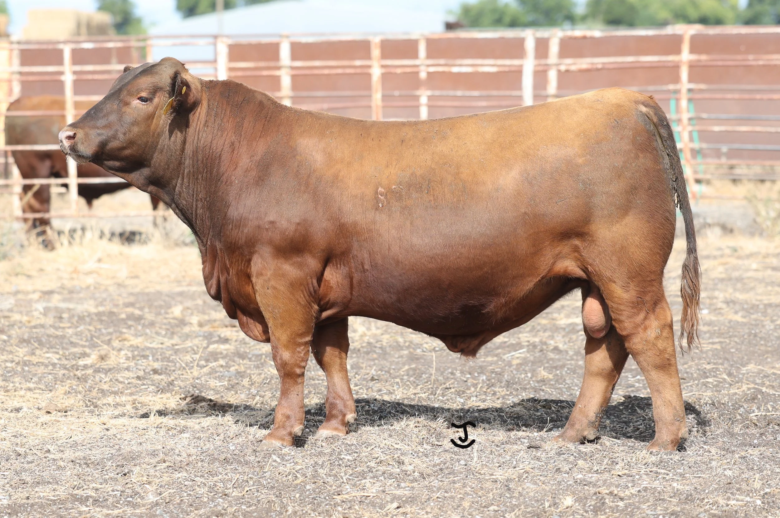 Lot 9 5022N