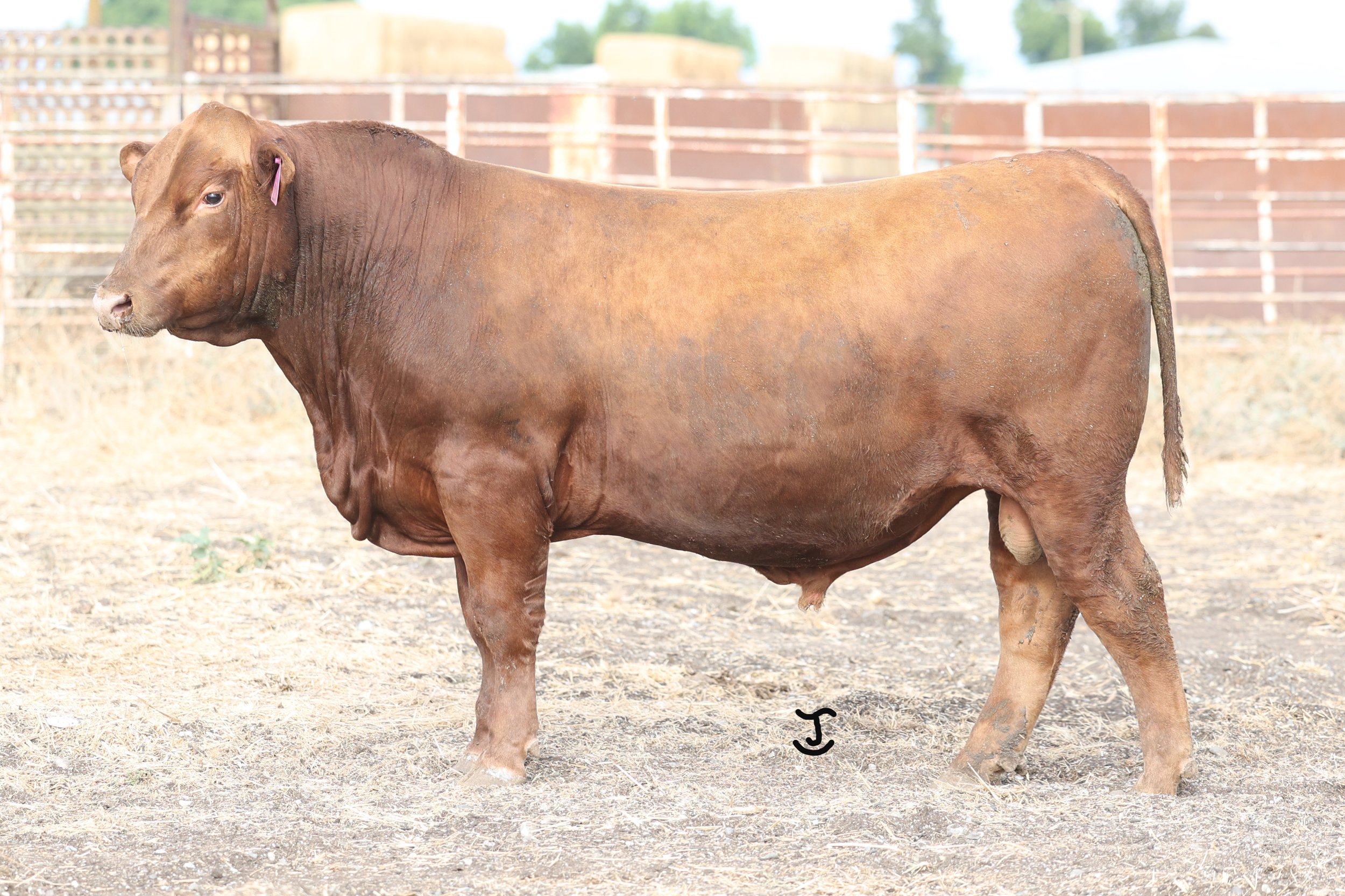 Lot 2 N119 