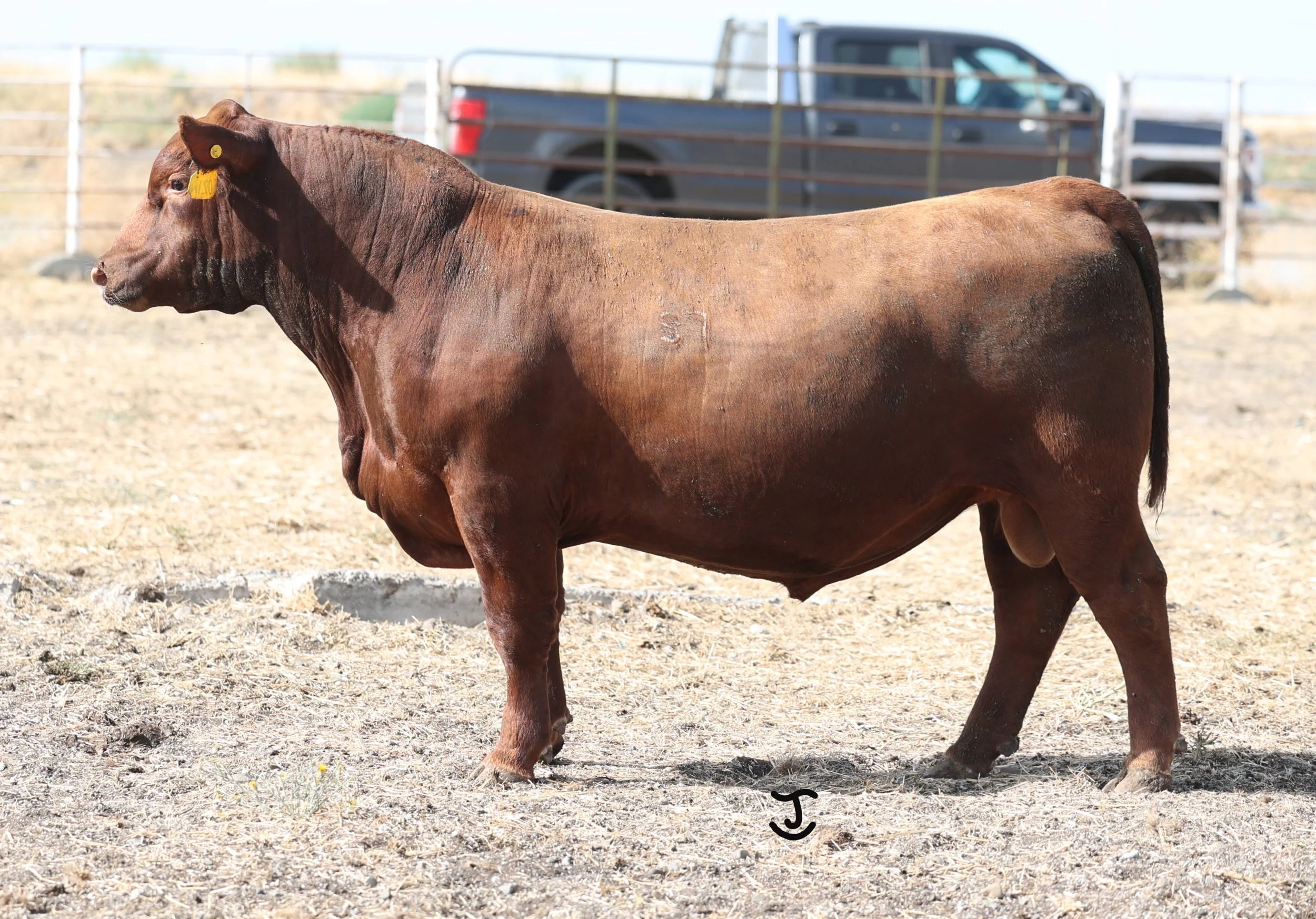 Lot 35 5021N
