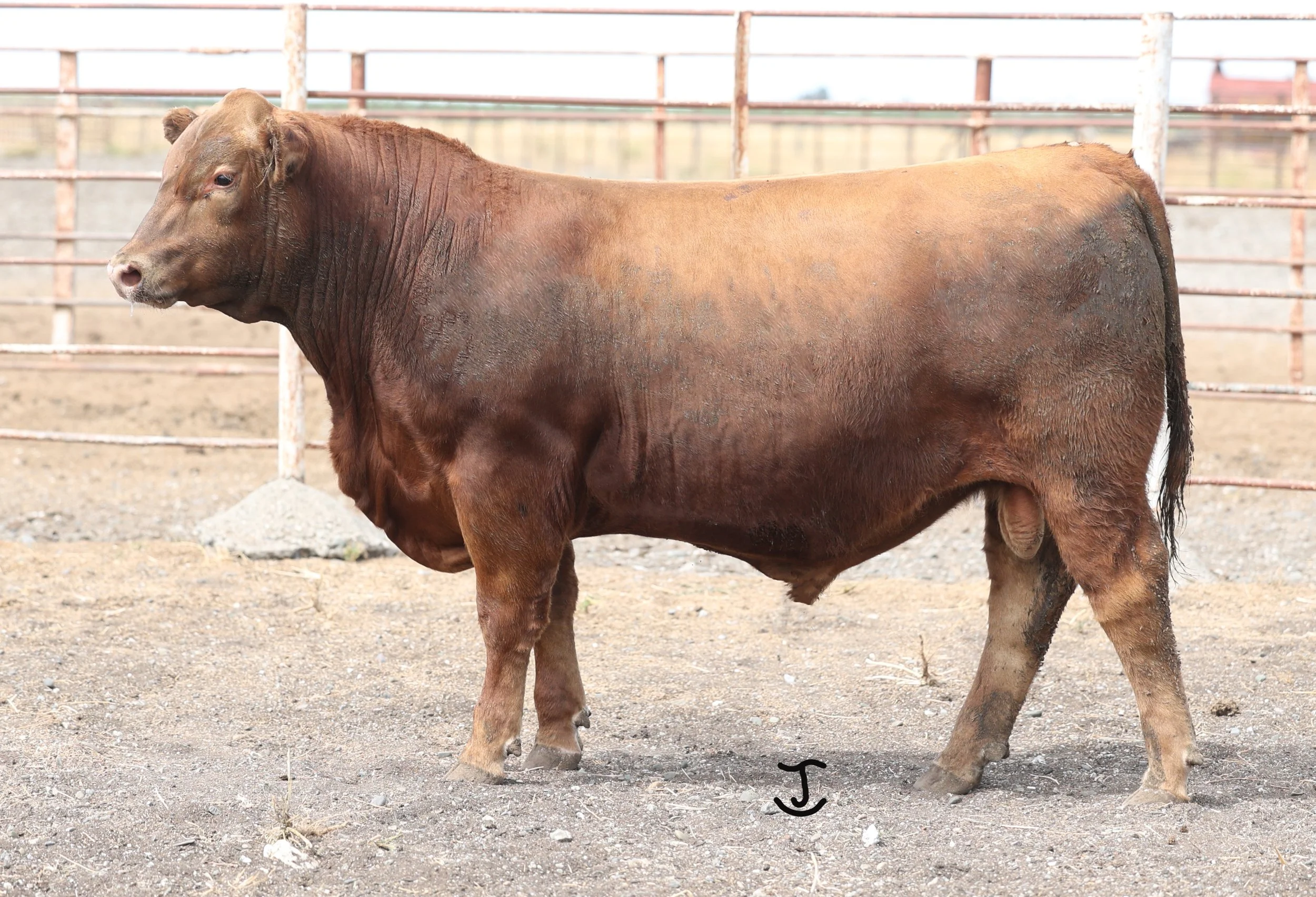 Lot 36 5058N