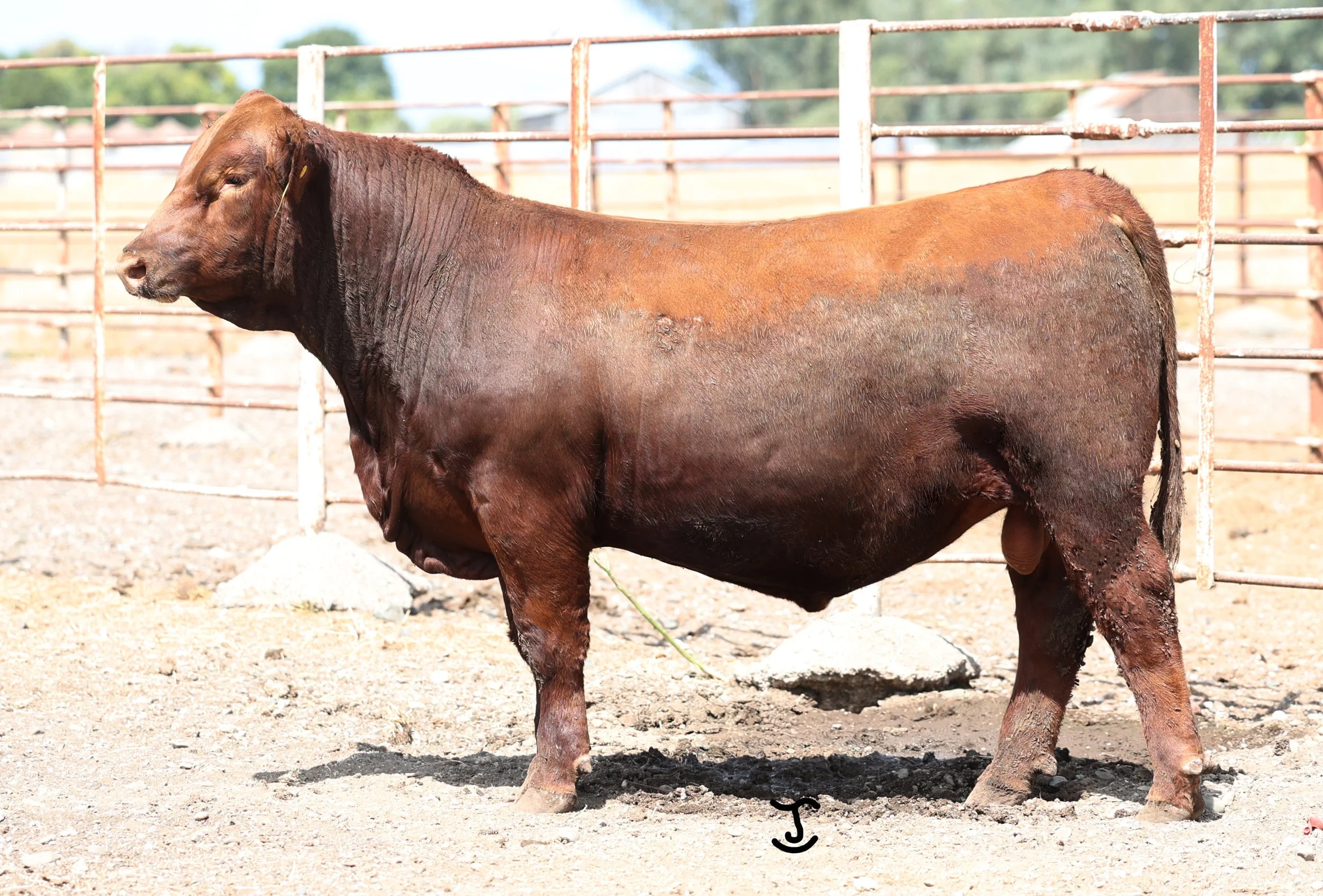 Lot 40 5046N