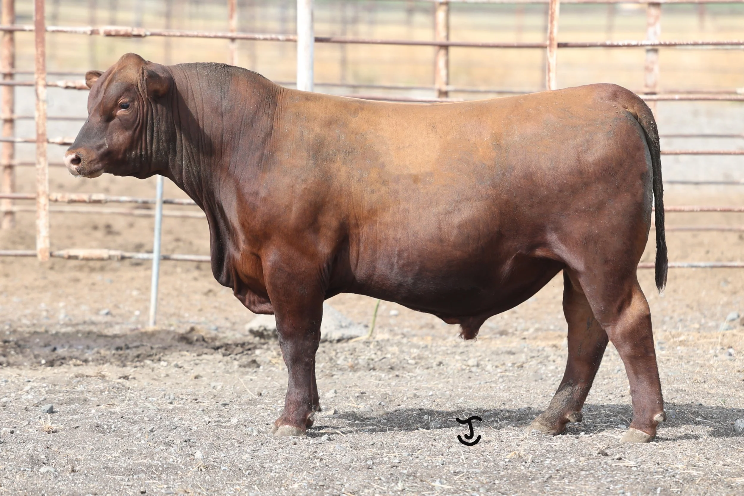 Lot 34 5042N