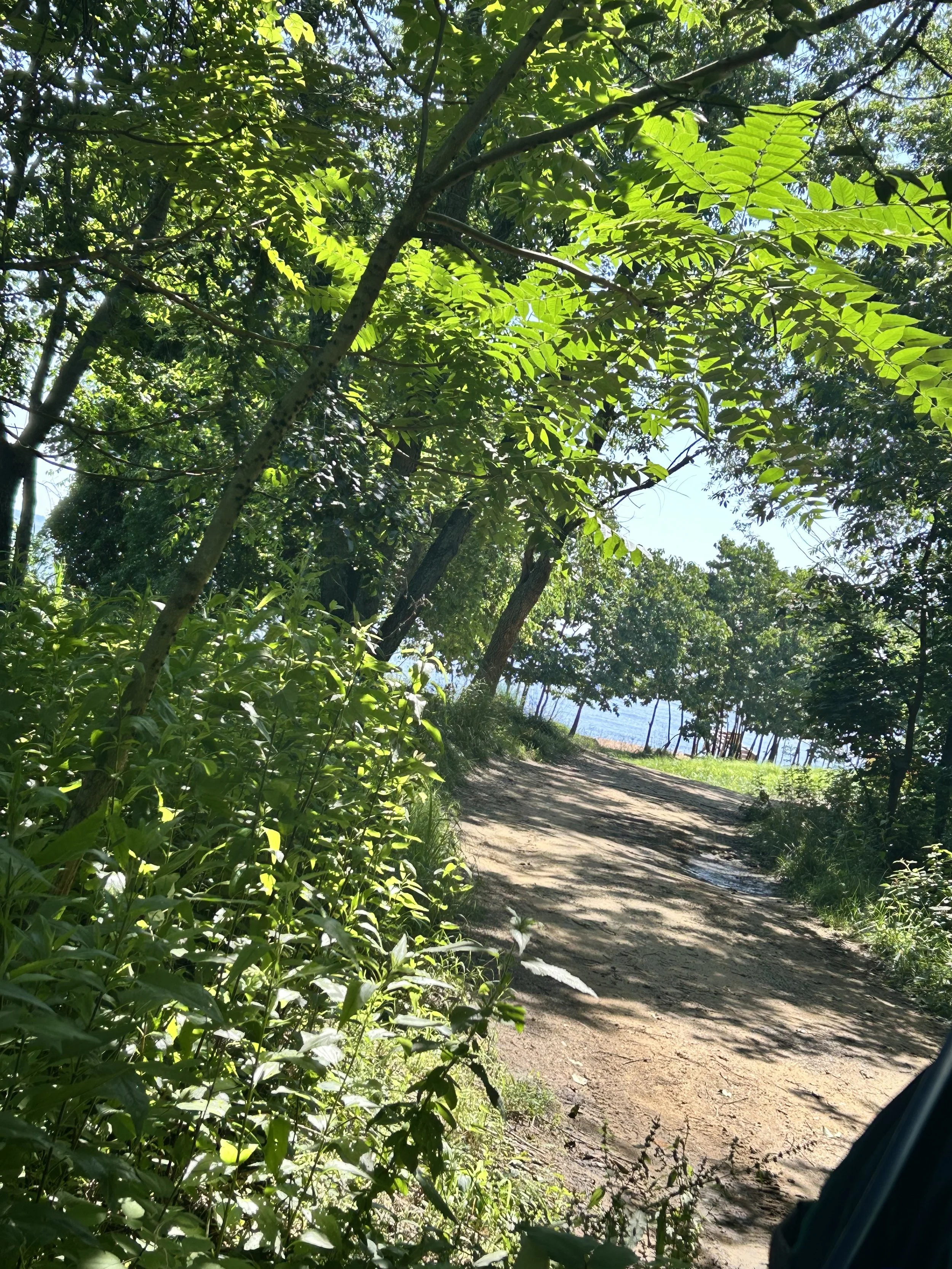 Blue Crab Trail at Sandy Point State Park