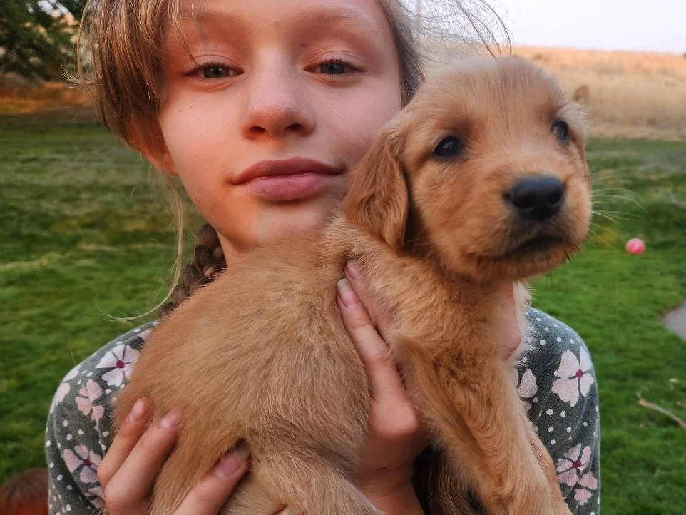 Edmund, Sunny's boy 
