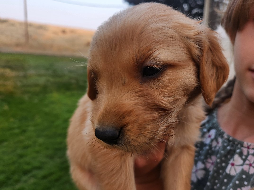 Edmund, Sunny's boy 