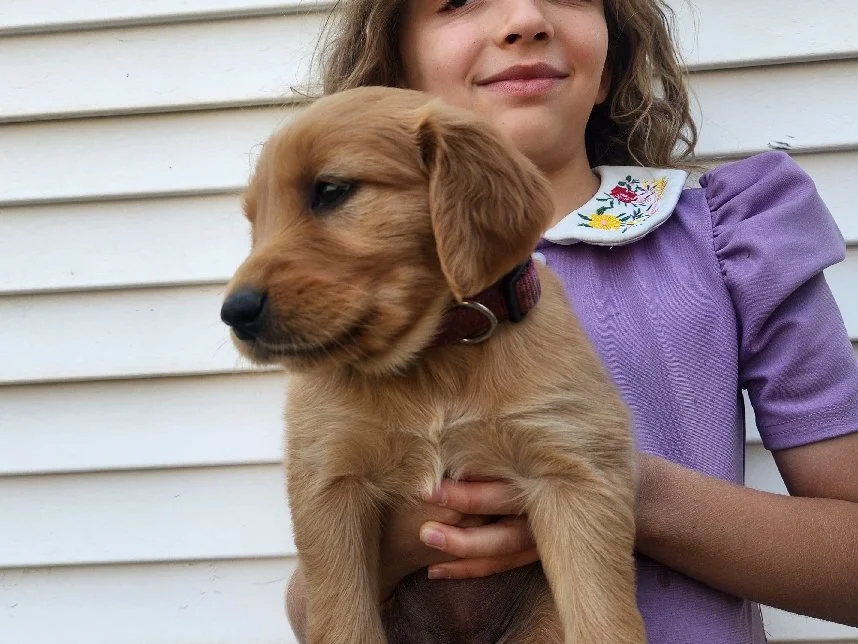 Candy, a girl 