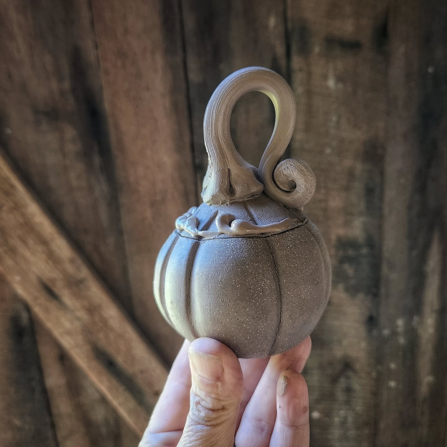 Anybody need a tiny little pumpkin jar??
You know, your fairy godpossum to store the teeth she collects?
#thepotteress #pumpkincottage #pumokinsandthings #pumpkins #pumpkinjar #fairygodpossum