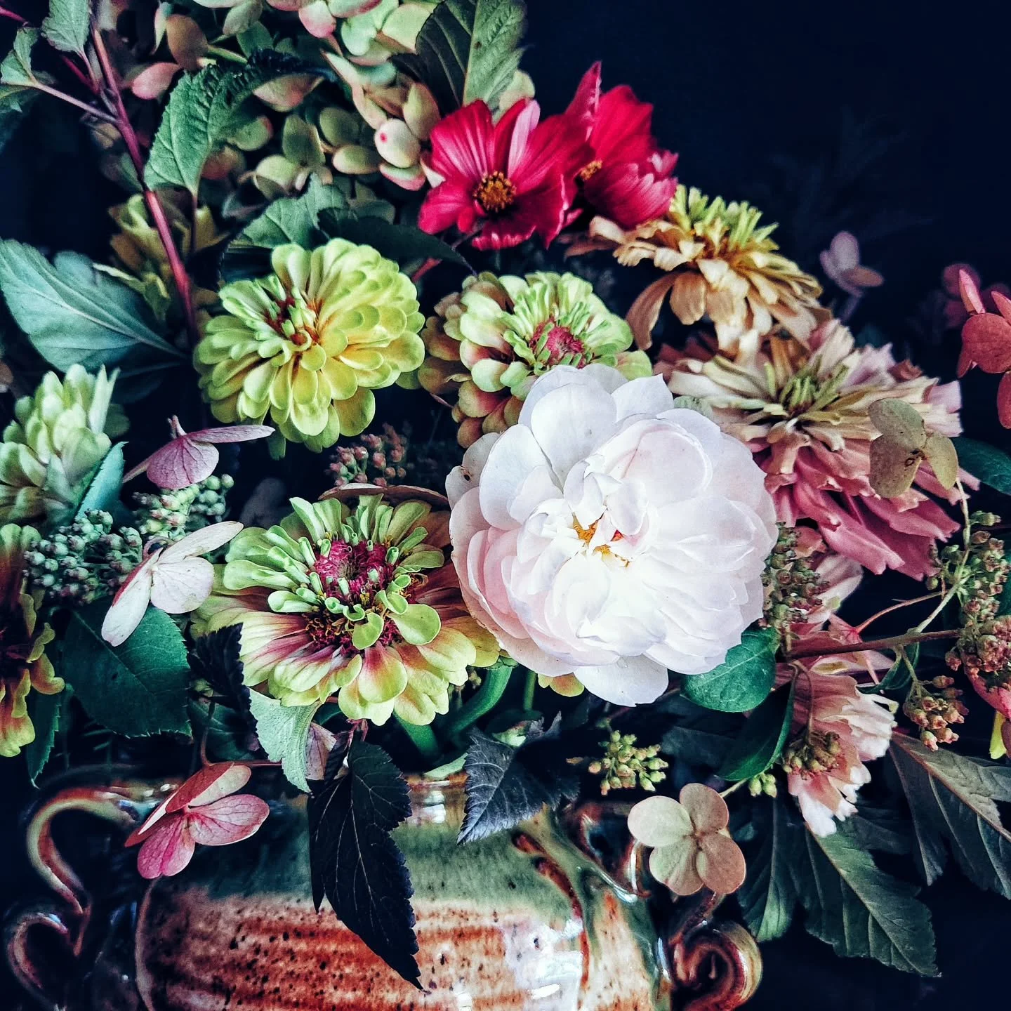 Things from the last seven days (which feel like seventy).
Flowers from Sunday, chickens in various media, hikes from Ohio natural history class, cross country meet, moss.
Don't forget I'm still offering 20% off any order over $50 on my website thi