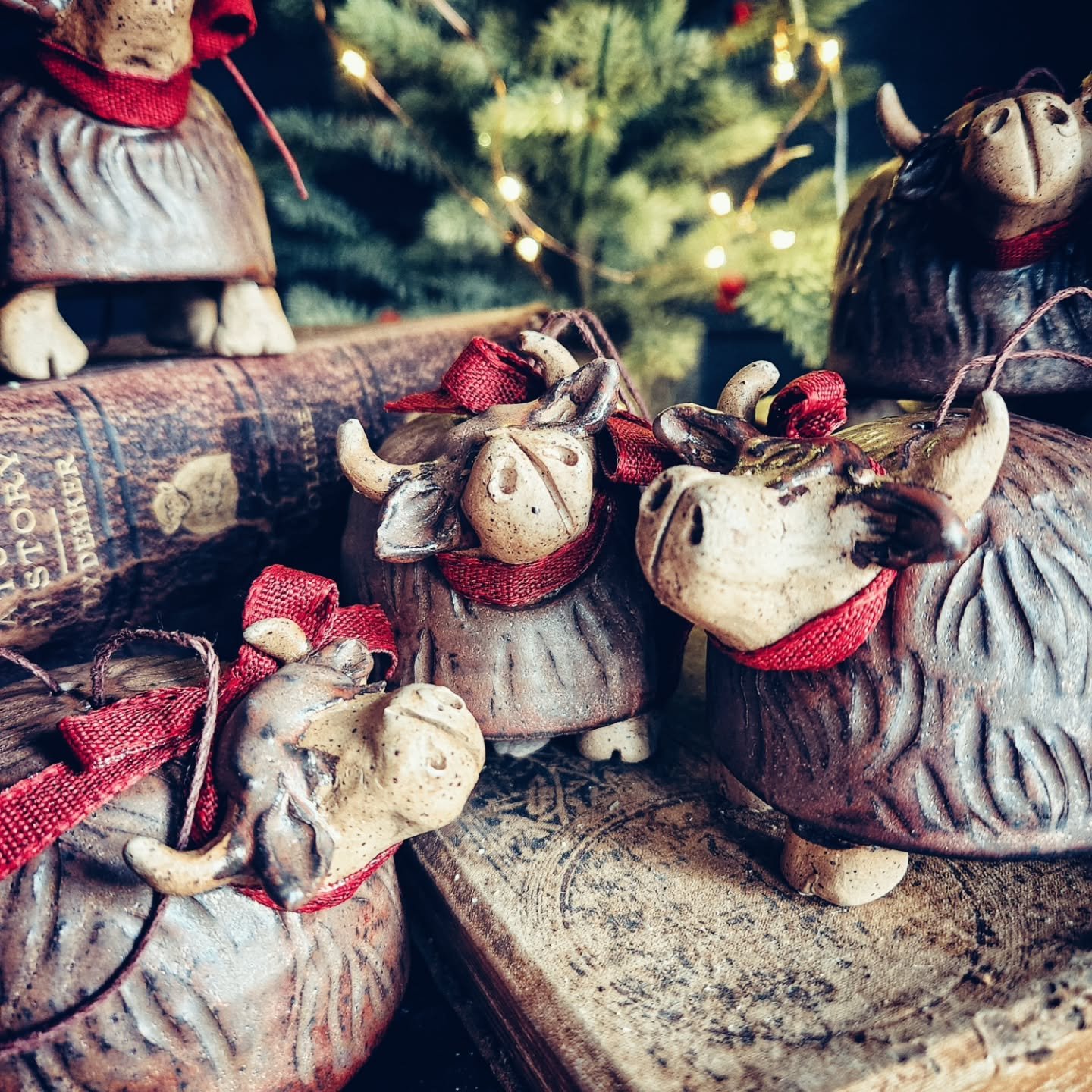 Oh, Christmas Cow! 
Oh, Christmas Cow!
How shaggy are thy forelocks!

(Daughter, for scale)

#thepotteress #christmascow #highlandcow #christmaspottery #christmasornament #highlandcowornament #oxandass