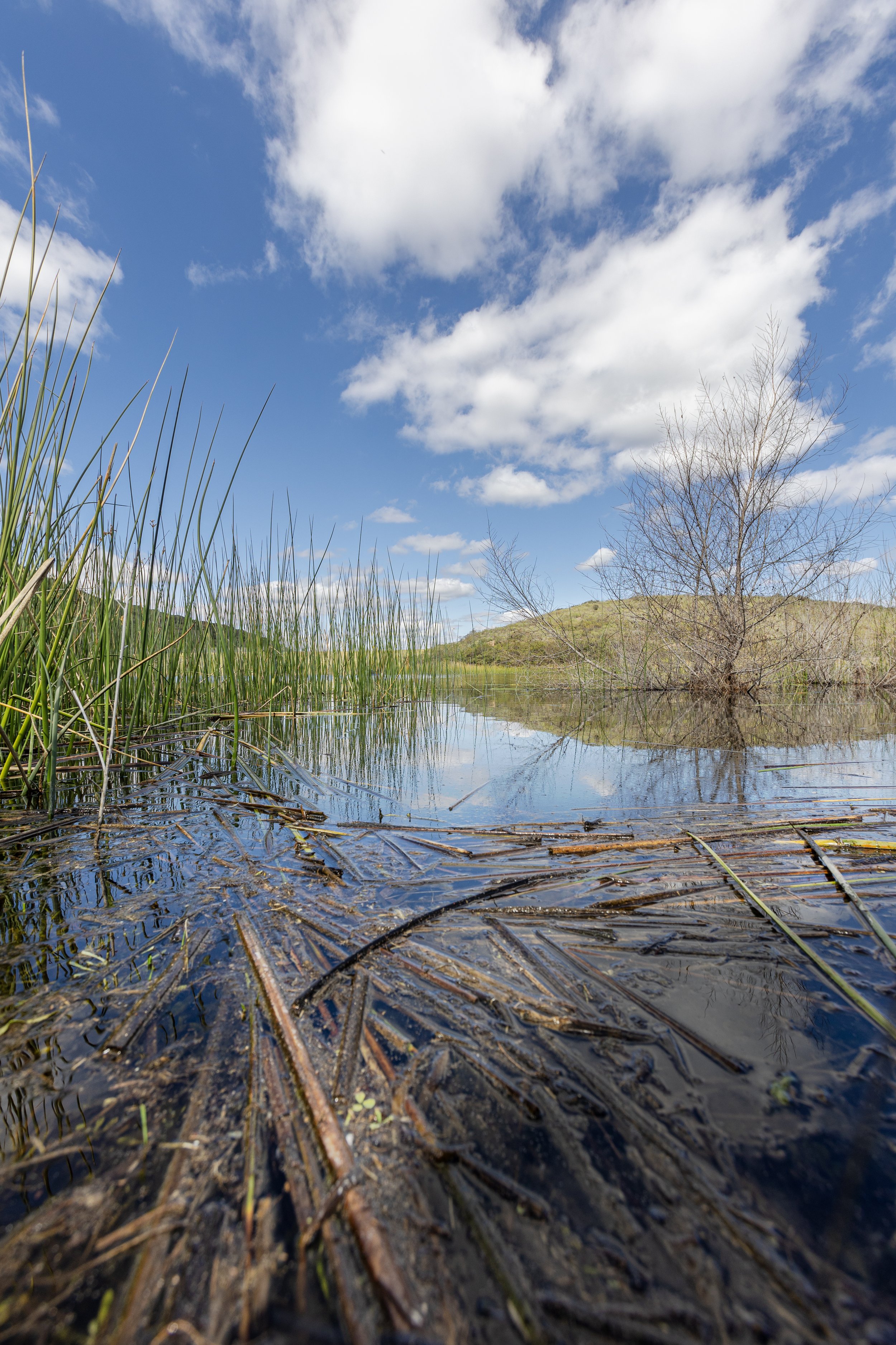 NCC_3944-Edit.JPG