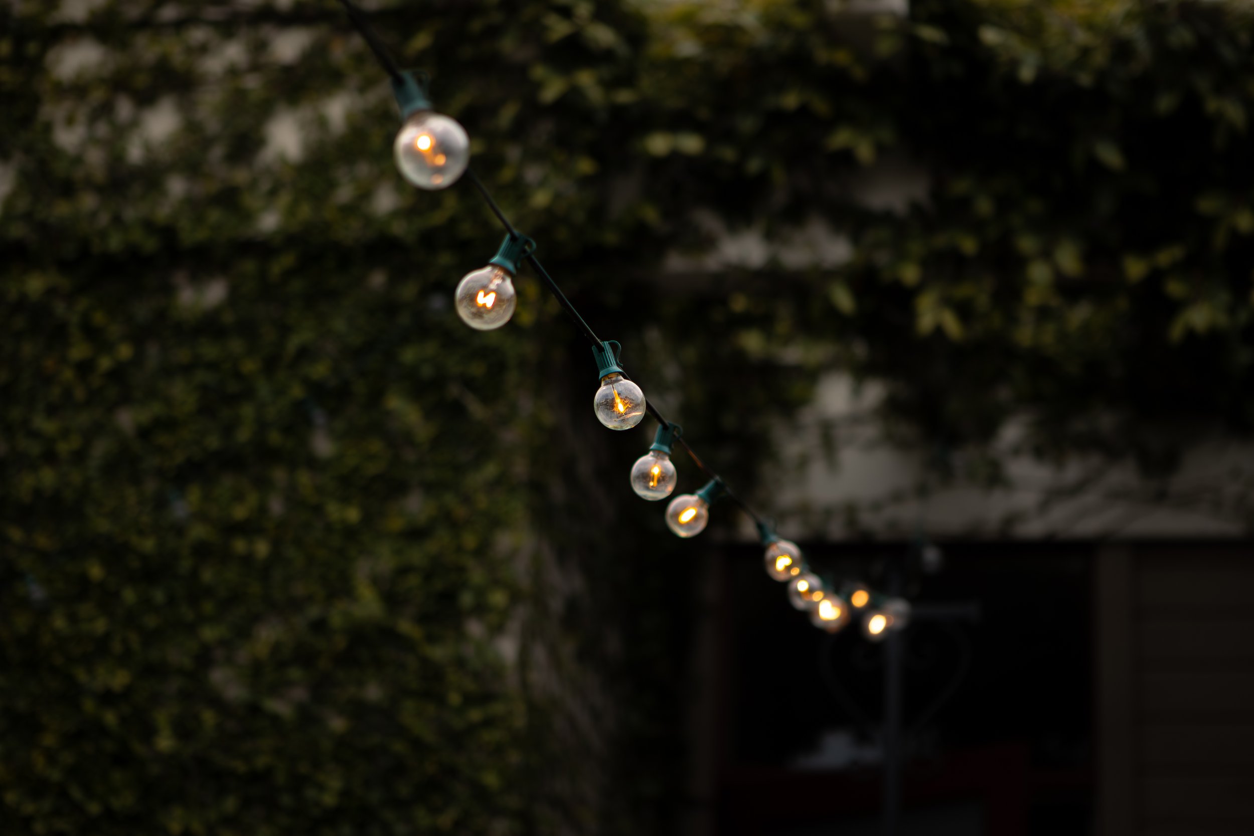 NCC_2171-Enhanced-NR.JPG