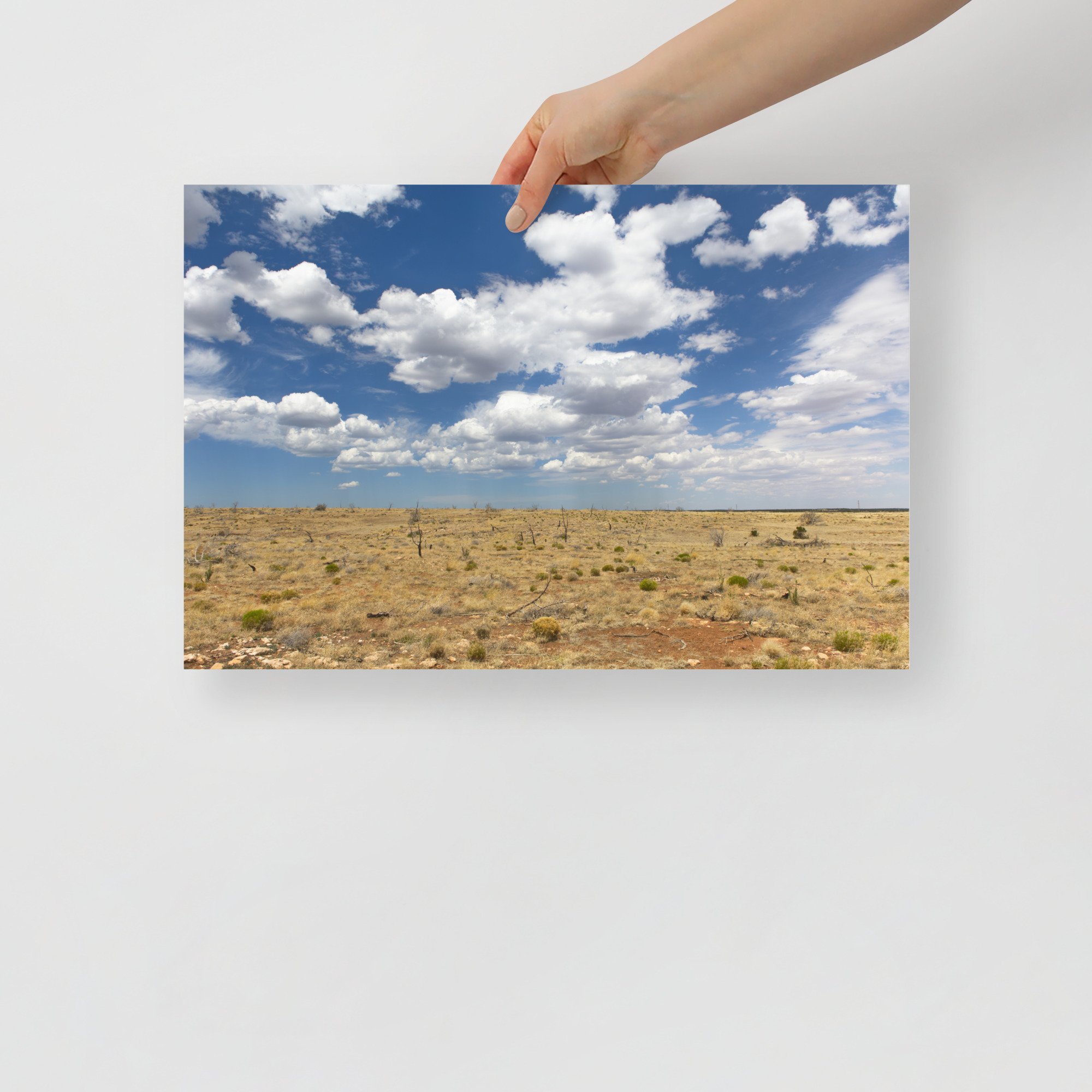 enhanced-matte-paper-poster-(in)-12x18-front-634b3f75abfd8.jpg