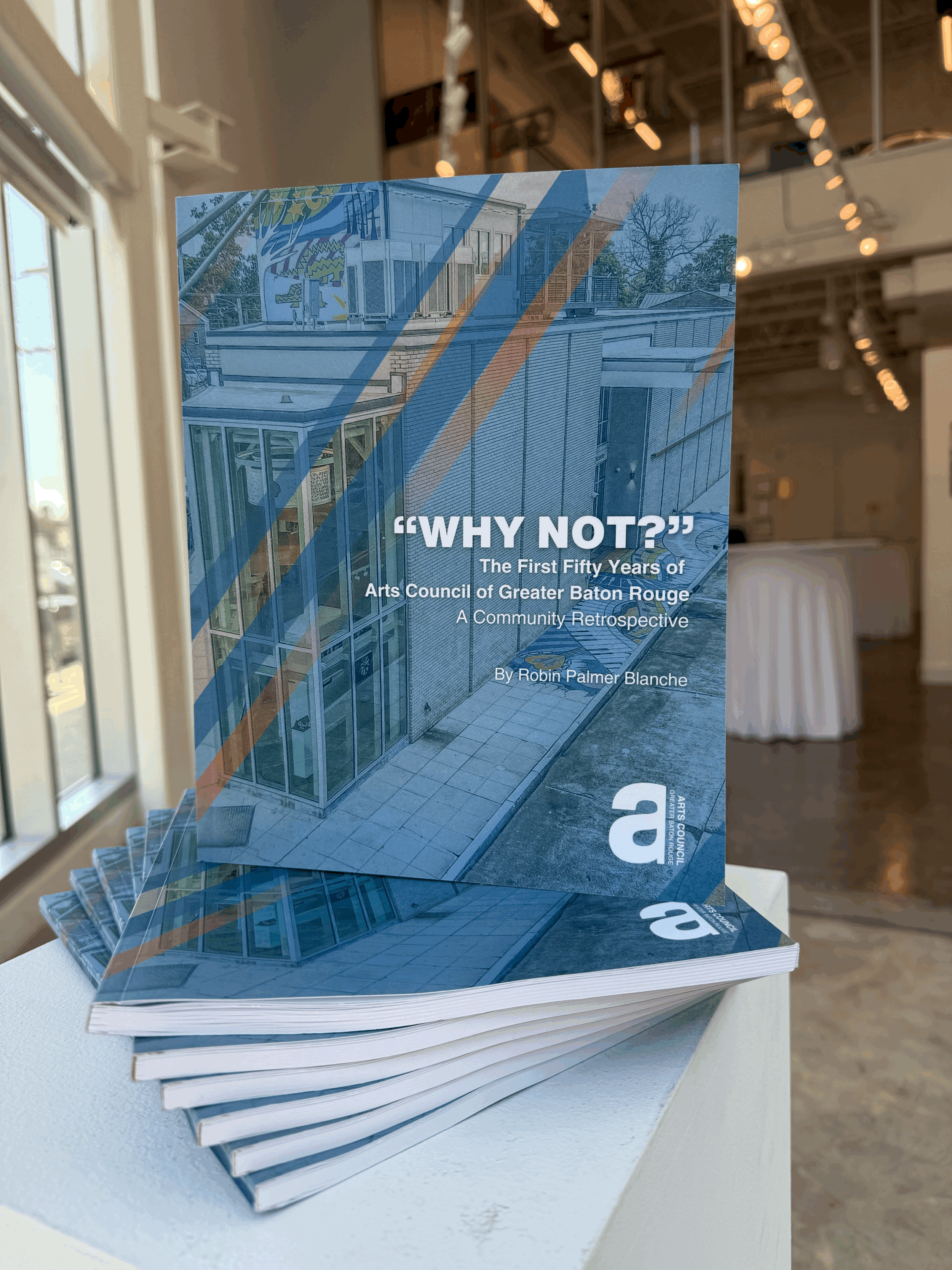 Why Not by Robin Palmer Blanche