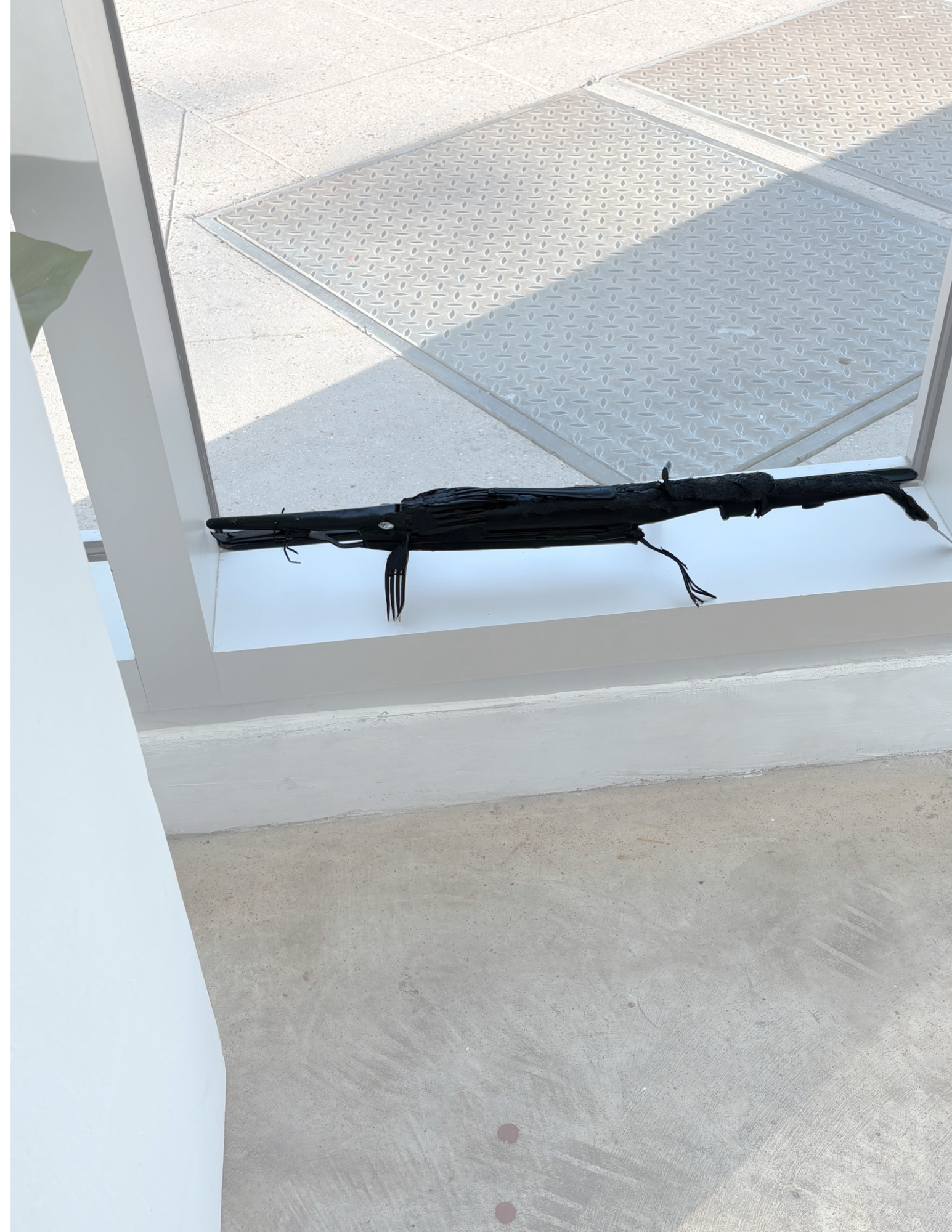 "Long thin crocodile" by Dennis Parker