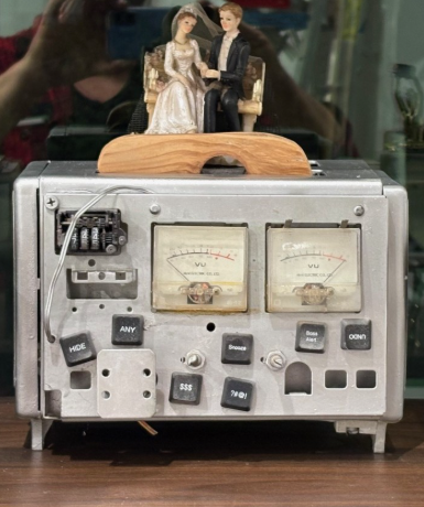 “Wedding Toast” by Dennis Parker