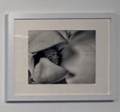 Screenshot 2025-12-10 at 1.10.28 PM.png