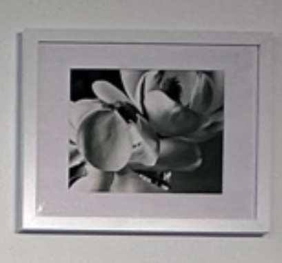 Screenshot 2025-12-10 at 1.05.20 PM.png