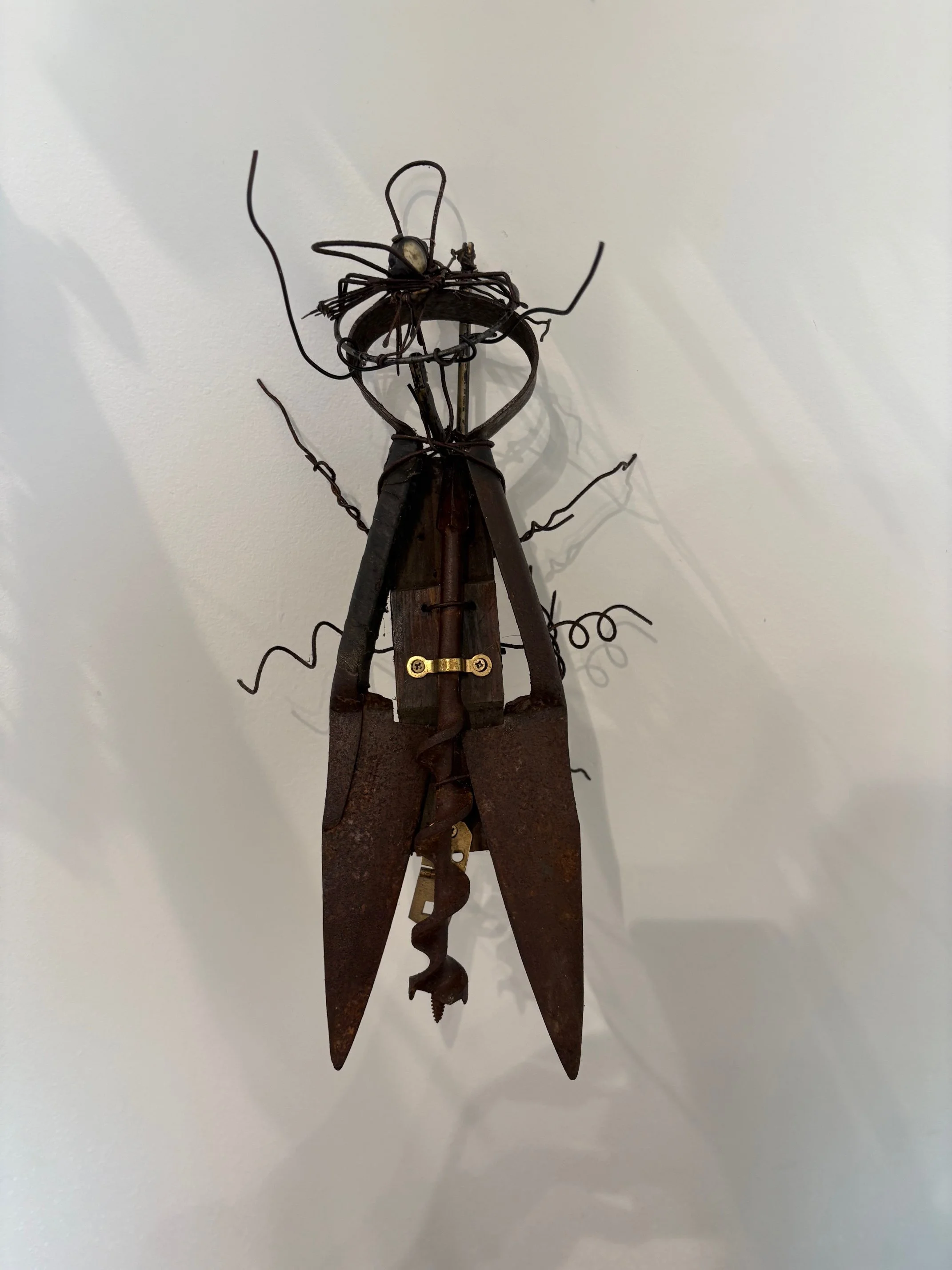 "Rusty, the Large Metal Fly on the Wall" by Dennis Parker