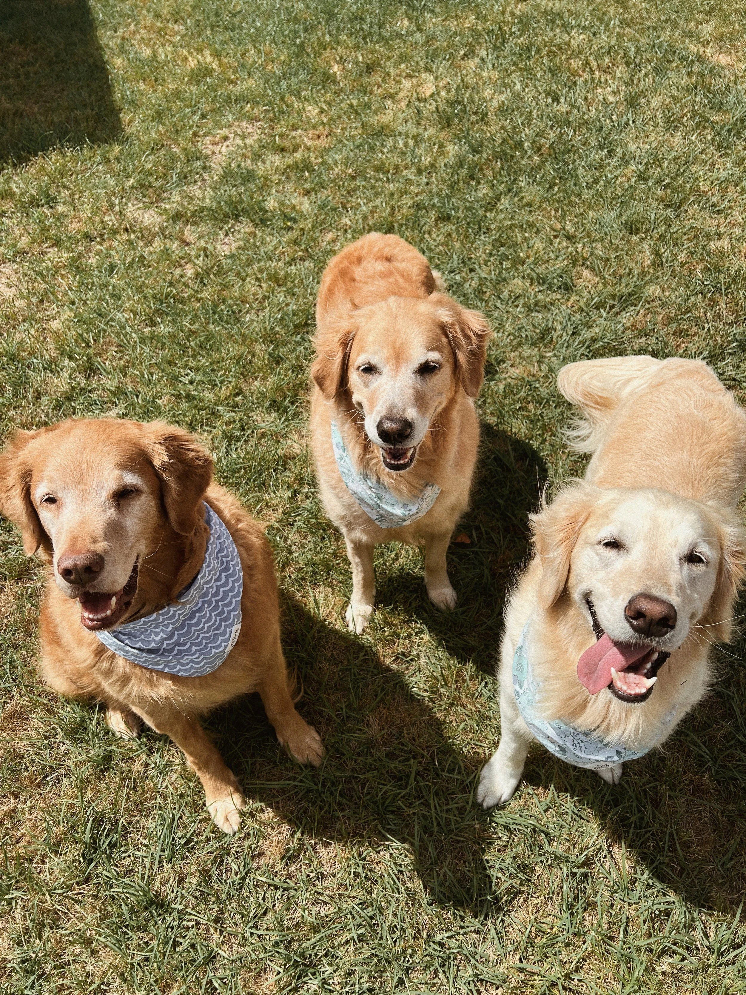 IMG_4851_VSCO (1).jpeg