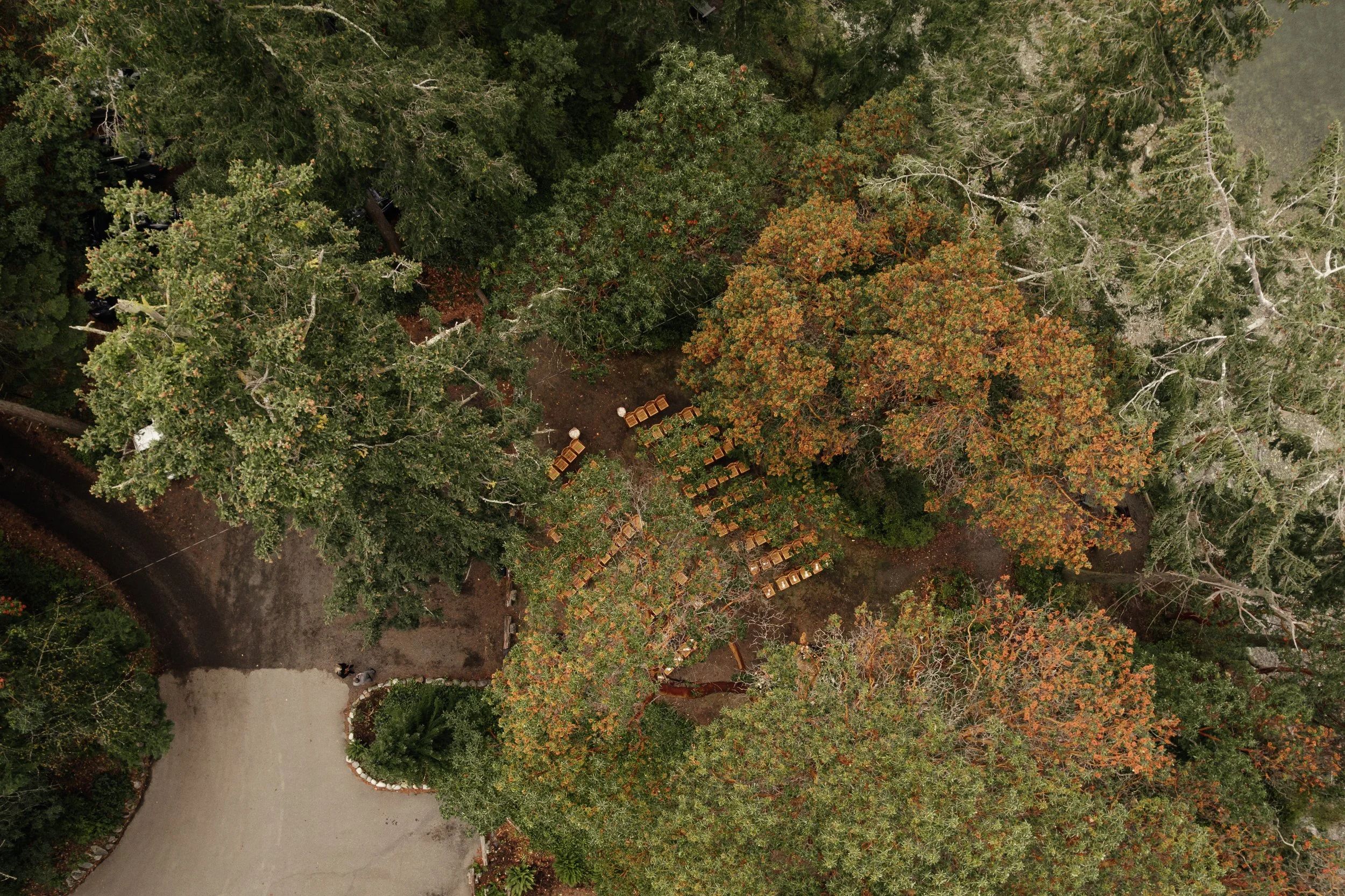 Jordan + Kai_Captain_Whidbey_Wedding_0008.jpg