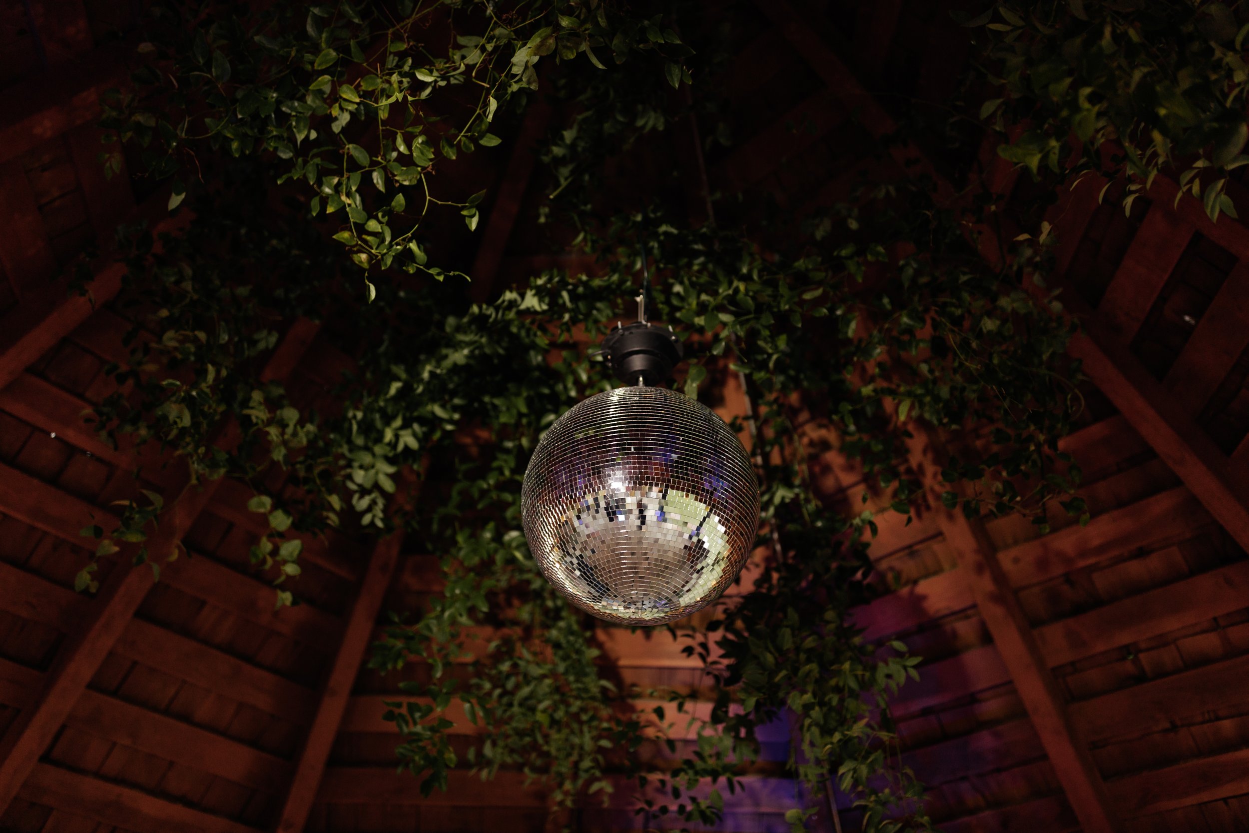 Jordan + Kai_Captain_Whidbey_Wedding_0237.jpg