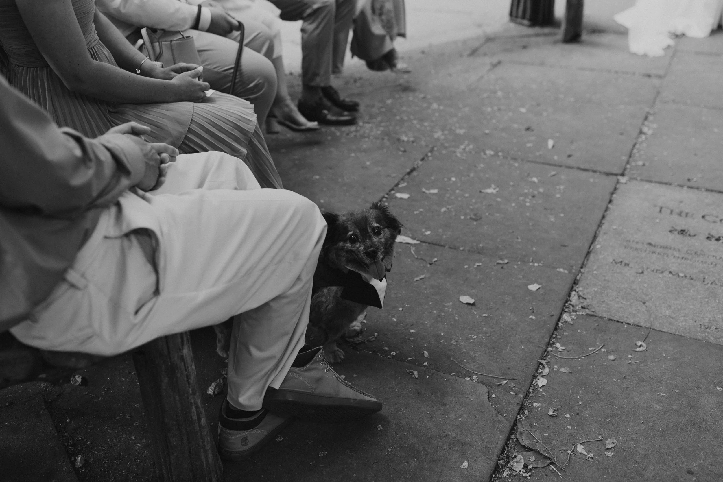 Dayne + Nate_New_York_City_Elopement_0559.jpg