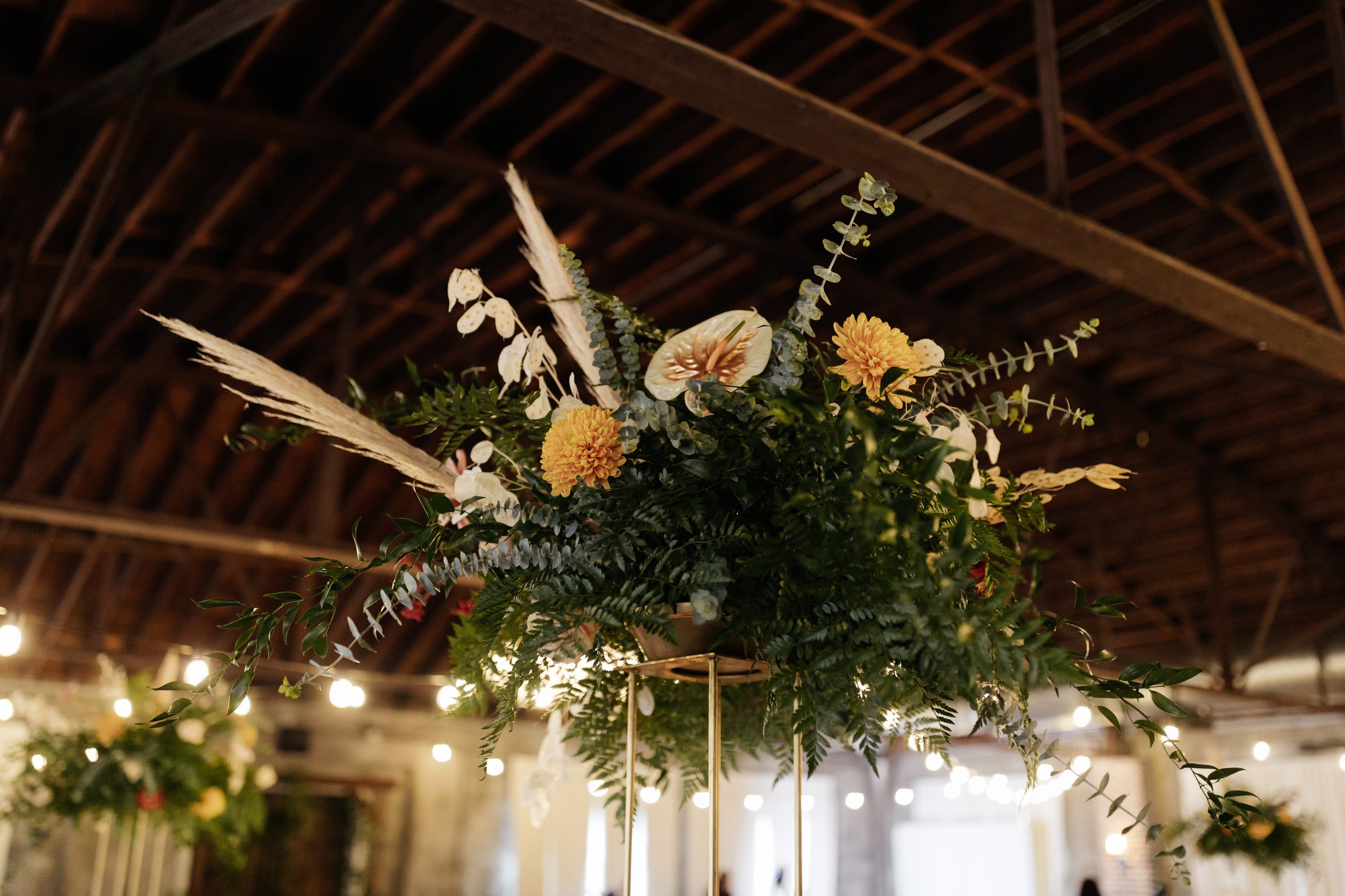 Cierra + Abioye_1345.jpg