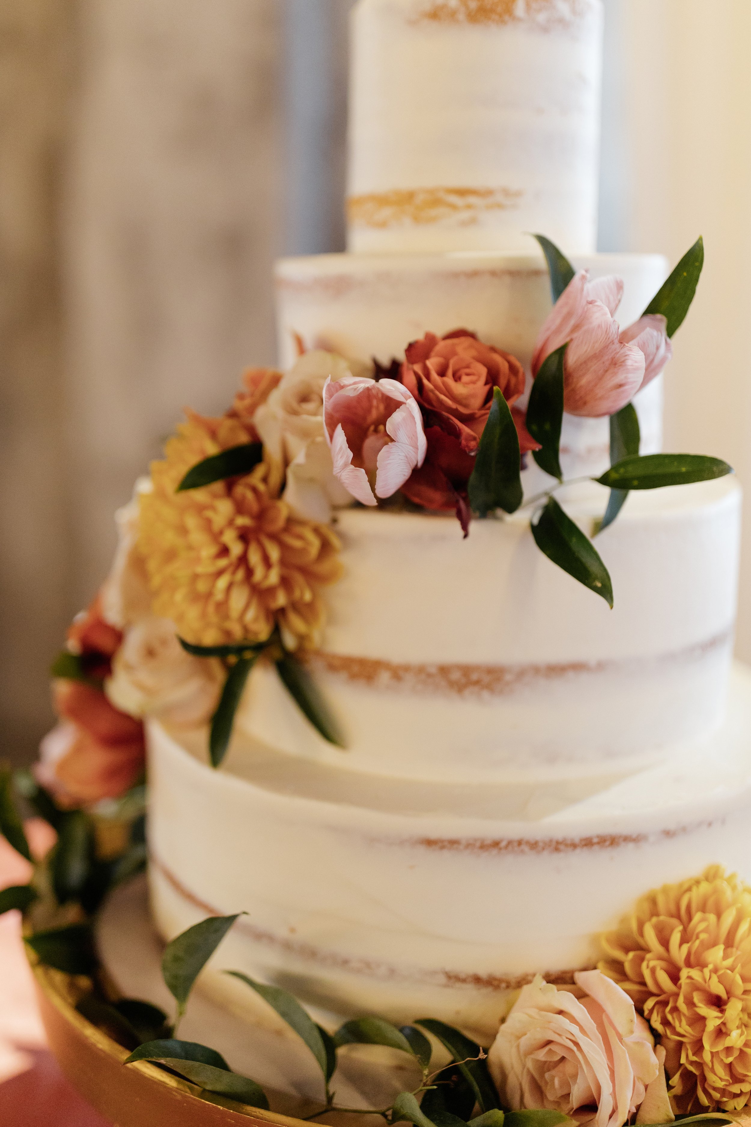 Cierra + Abioye_1355.jpg