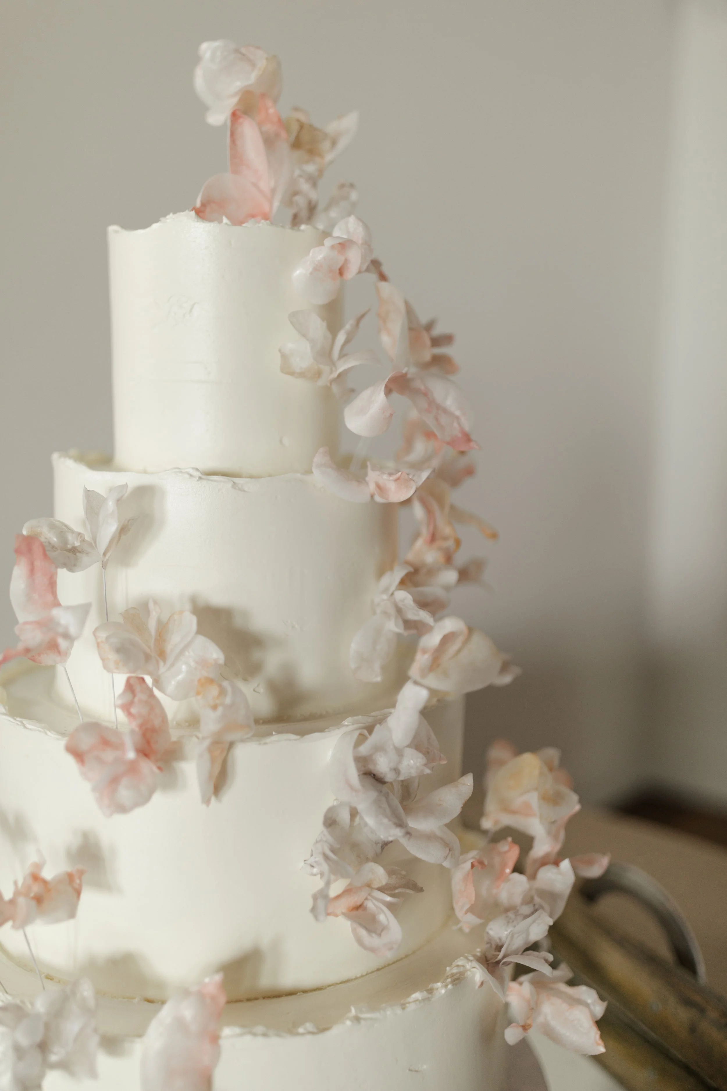 Renee + Salem_0084.jpg