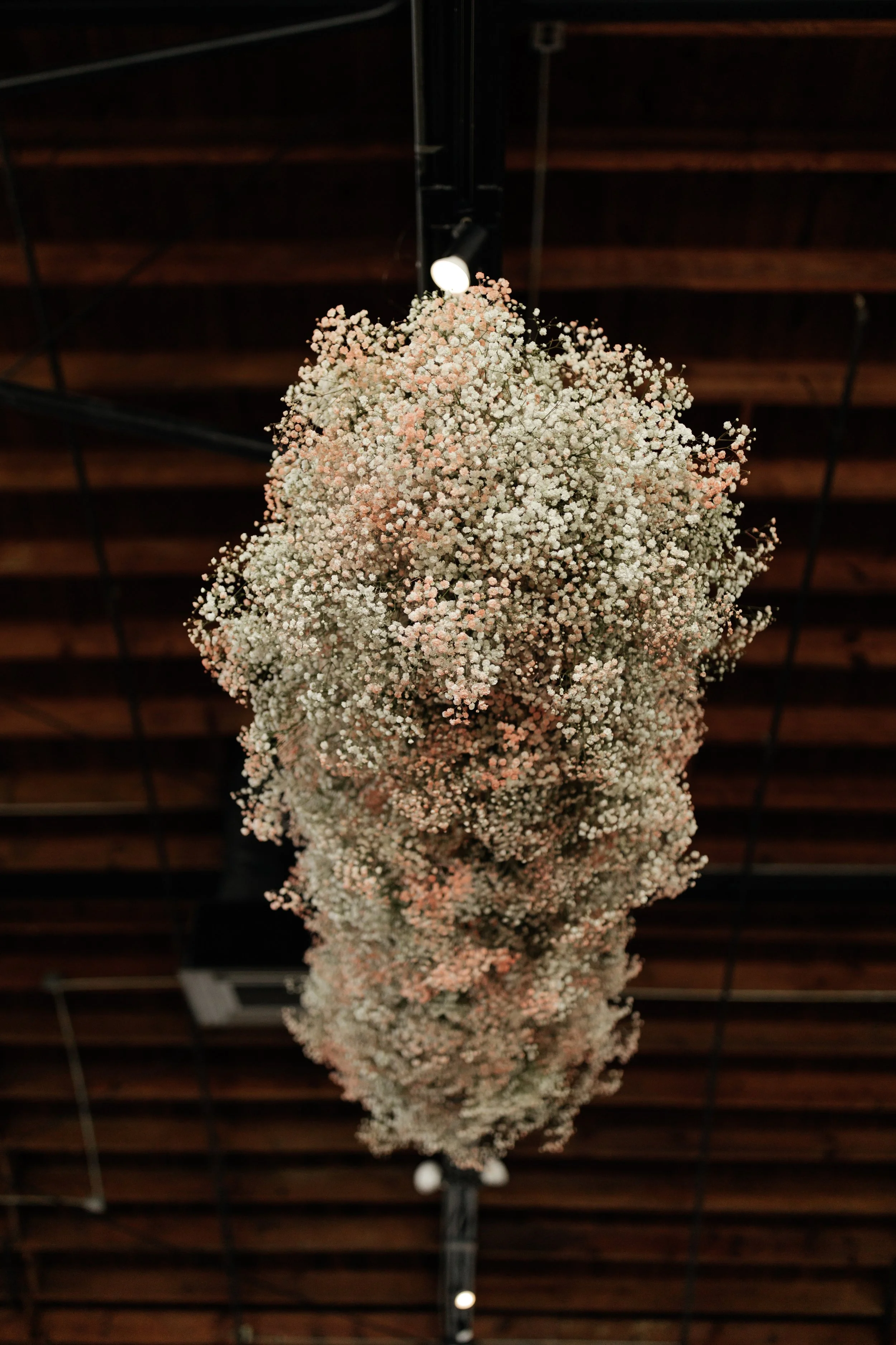 Renee + Salem_0085.jpg