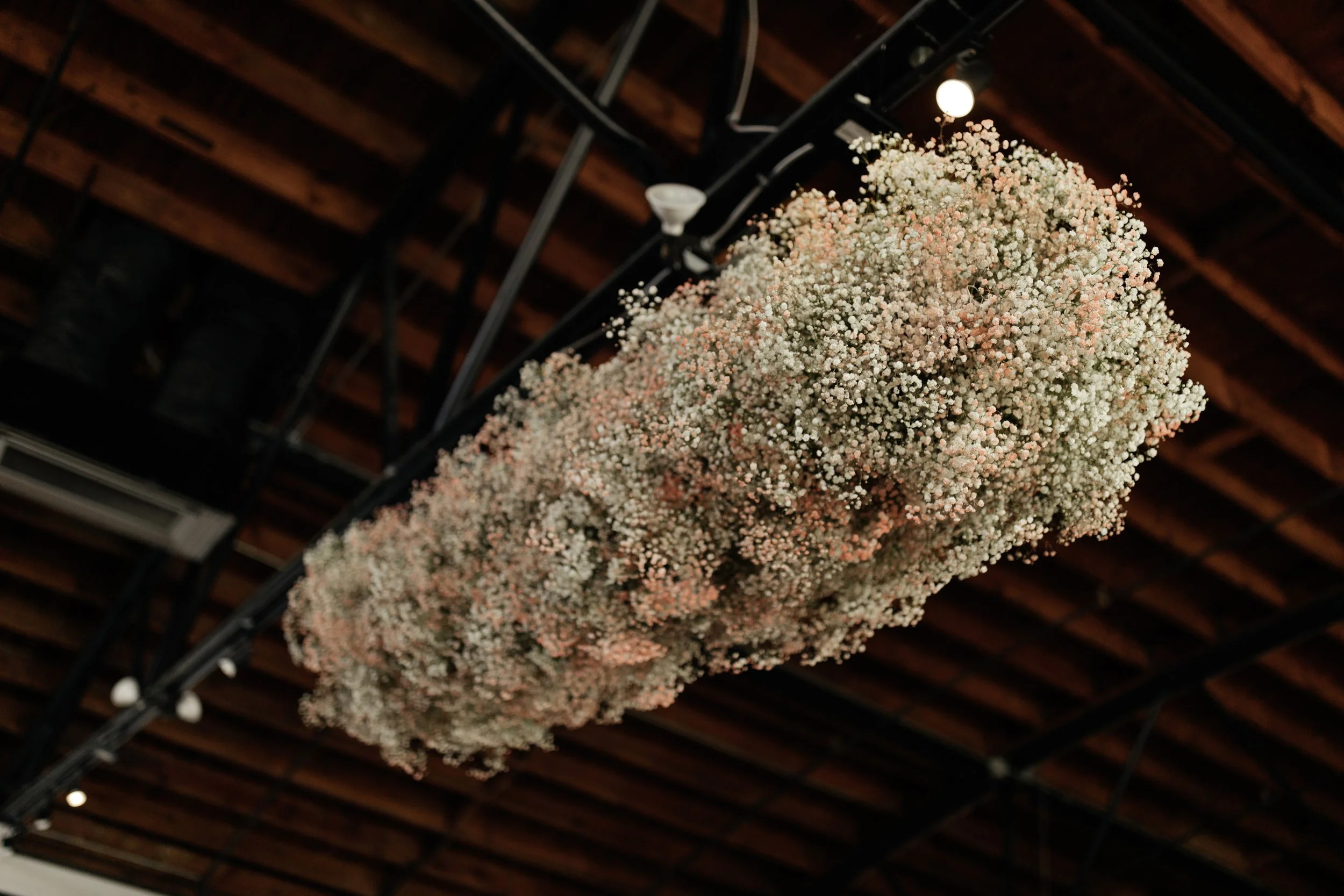 Renee + Salem_0087.jpg