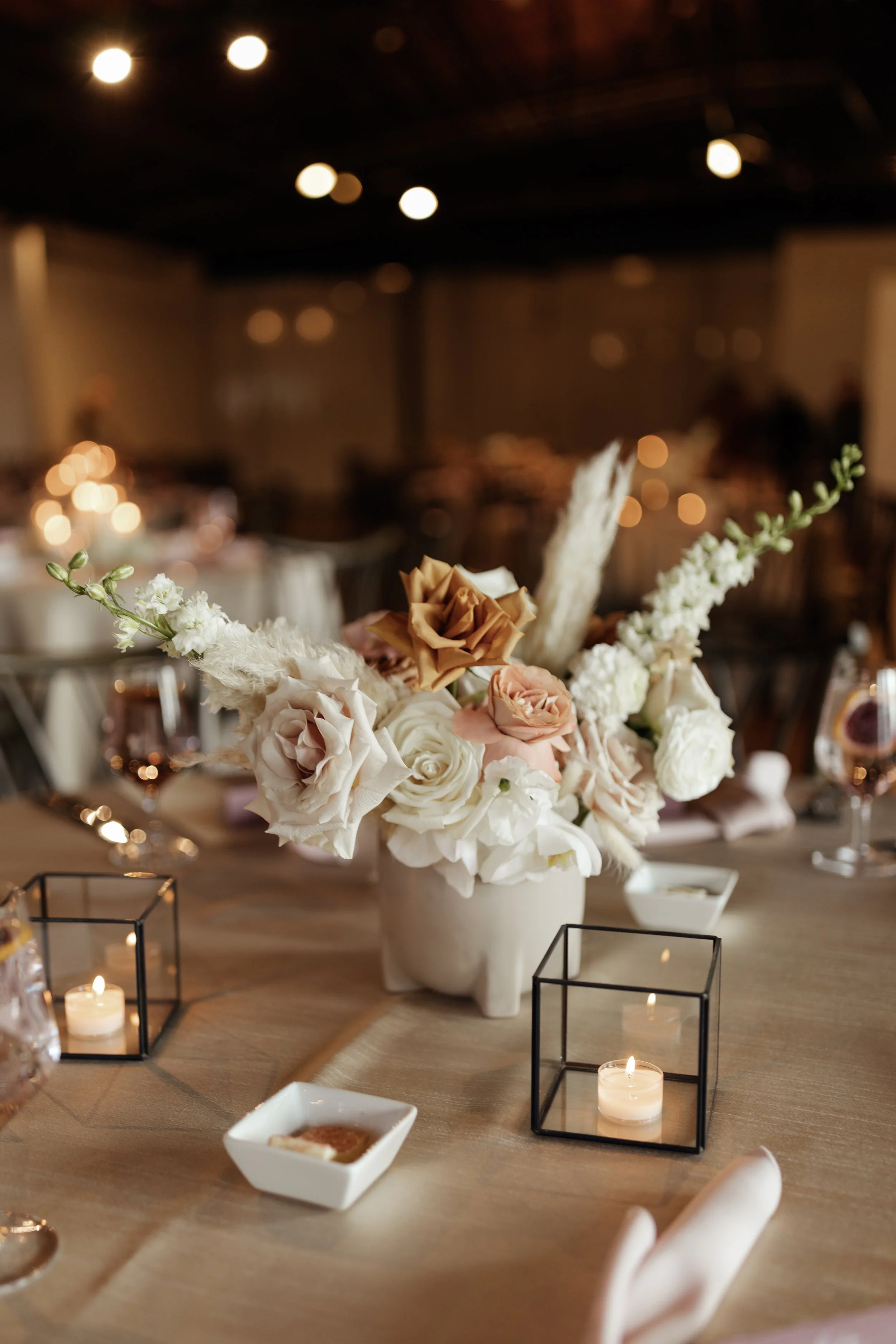 Renee + Salem_0096.jpg