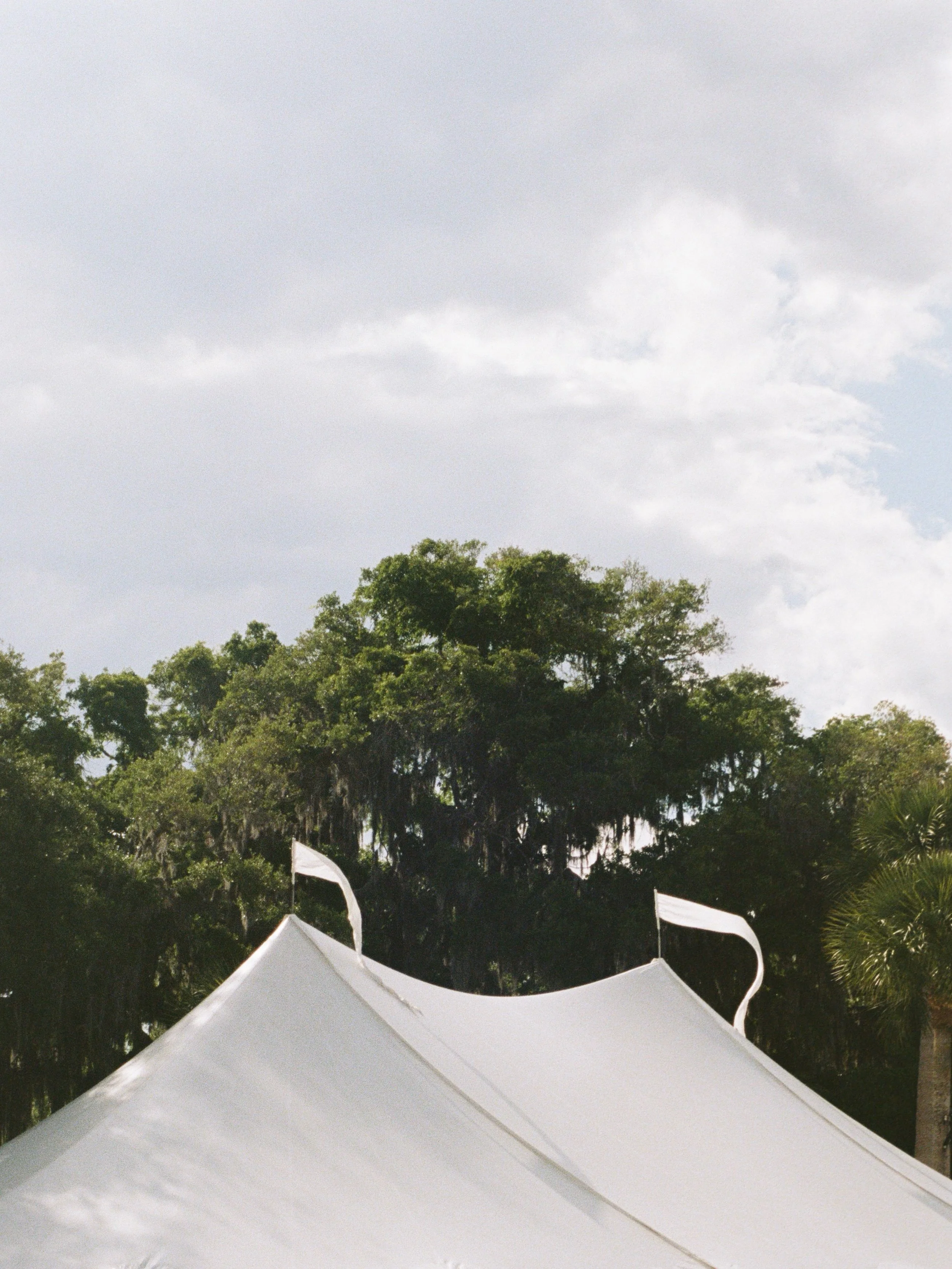 Film from Meg + Jeremy&rsquo;s stunning day on the Georgia coast at @jekyllclub with @briwilliamsevents and @89thandautumn 🌸

Planning + Design @briwilliamsevents
Photo @joyandeverettephoto
Florals @89thandautumn
Venue @jekyllclub @jekyllclubwedding