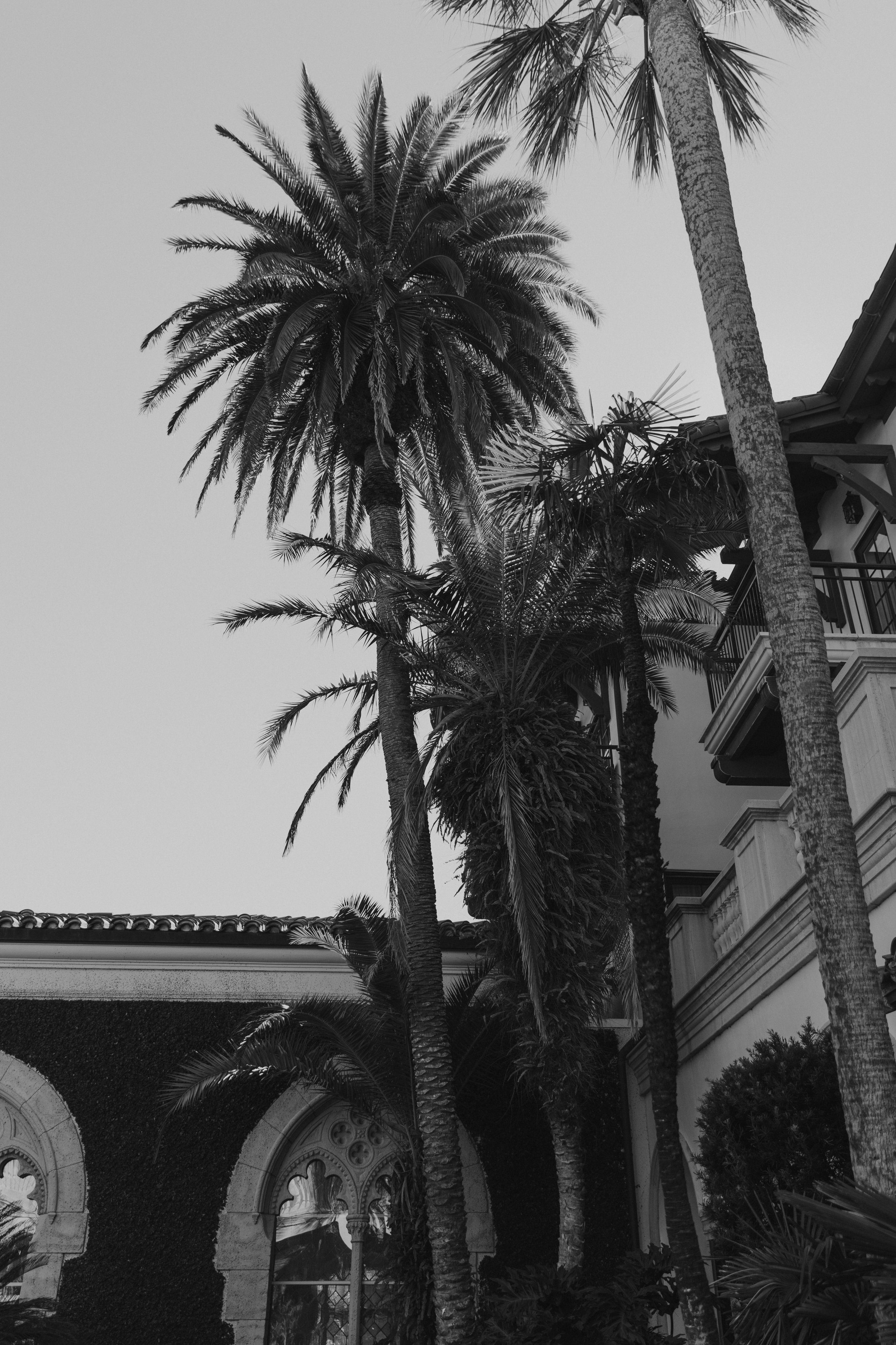Sea_Island_Wedding_The_Cloister_0017.jpg