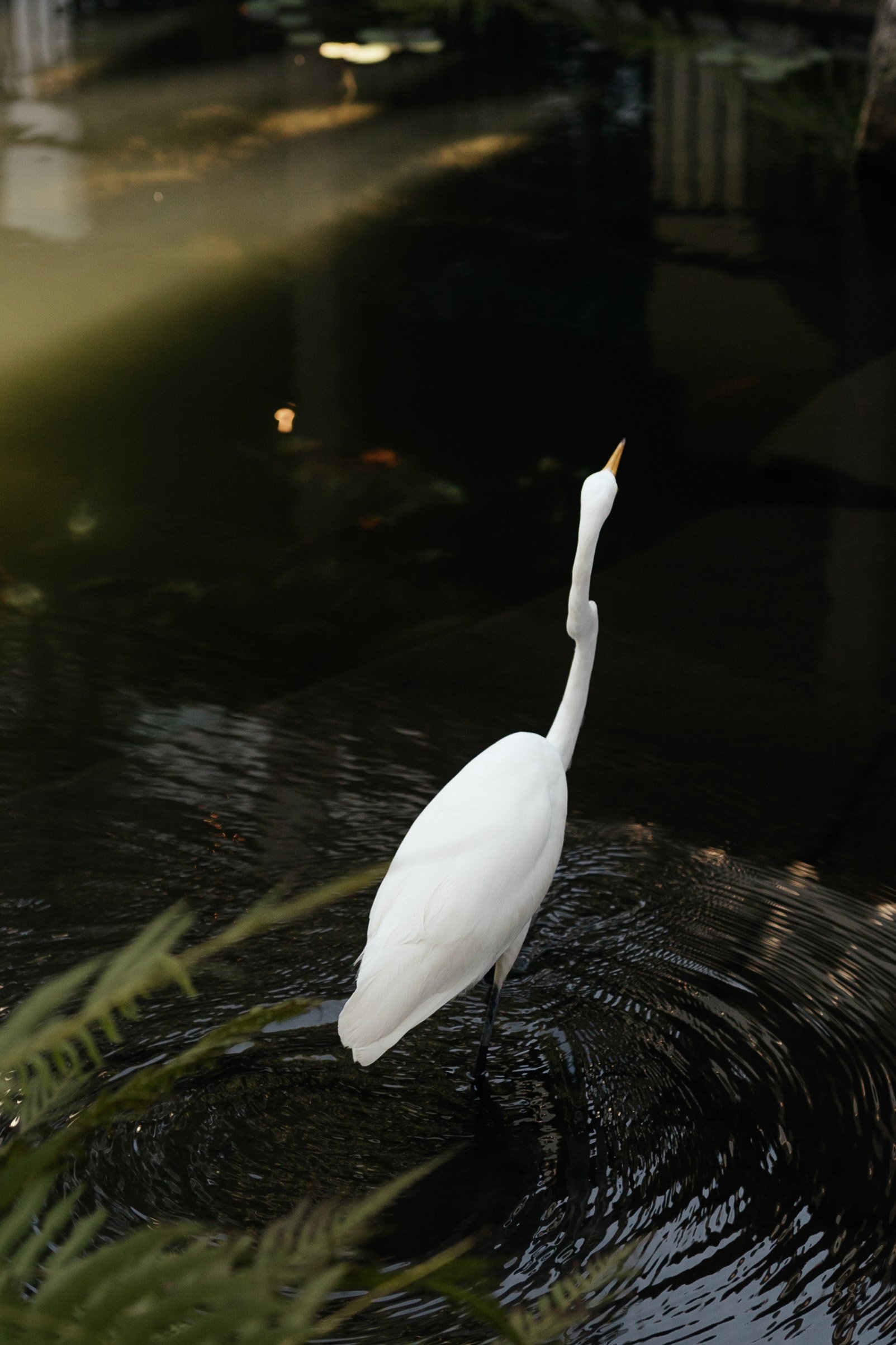Sea_Island_Wedding_The_Cloister_0030.jpg