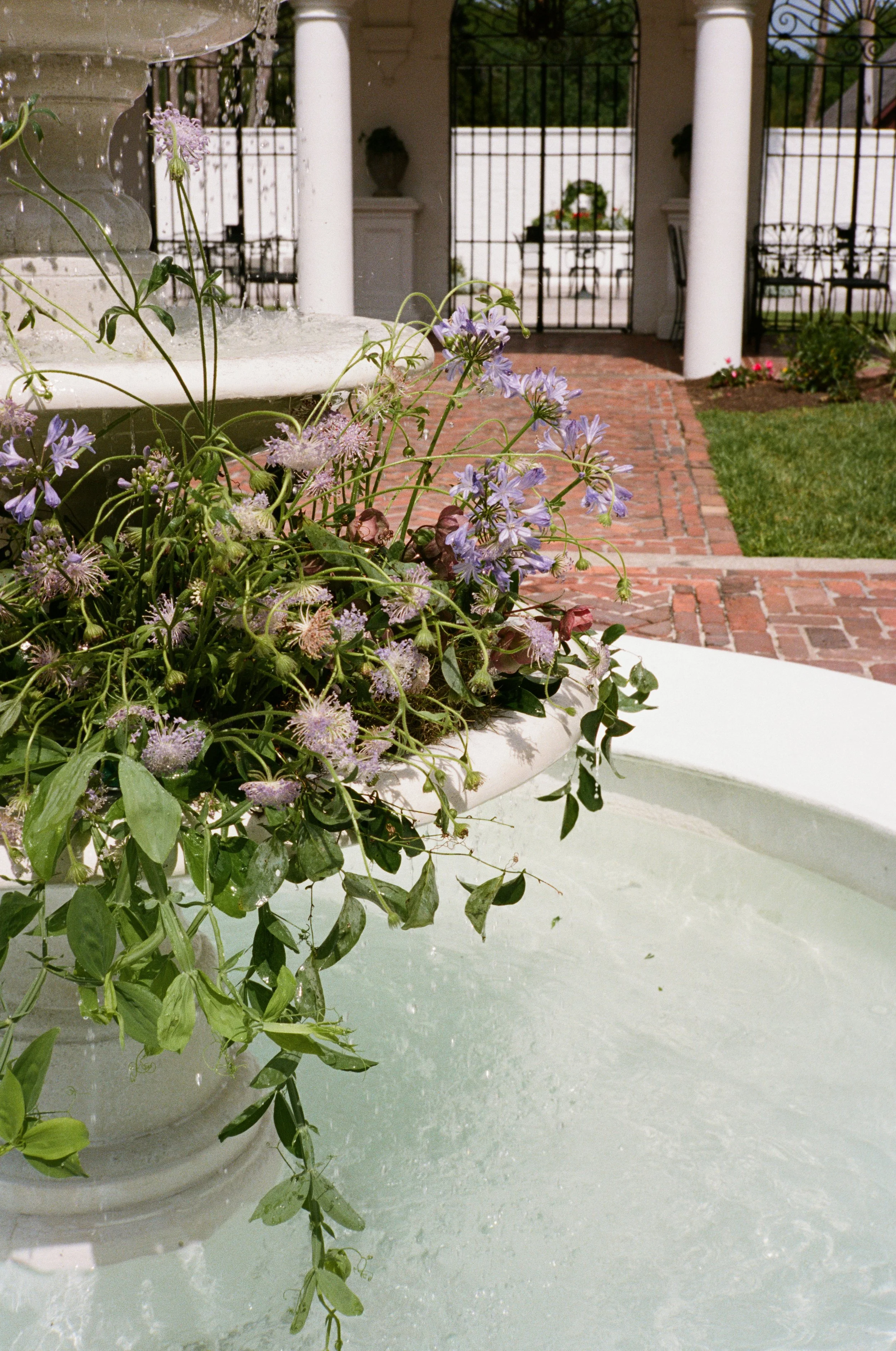 Portra1601-6.jpg