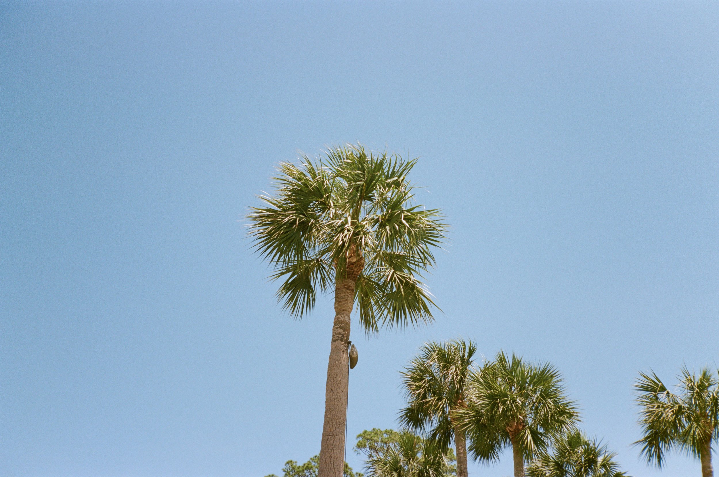 Portra1601-34.jpg