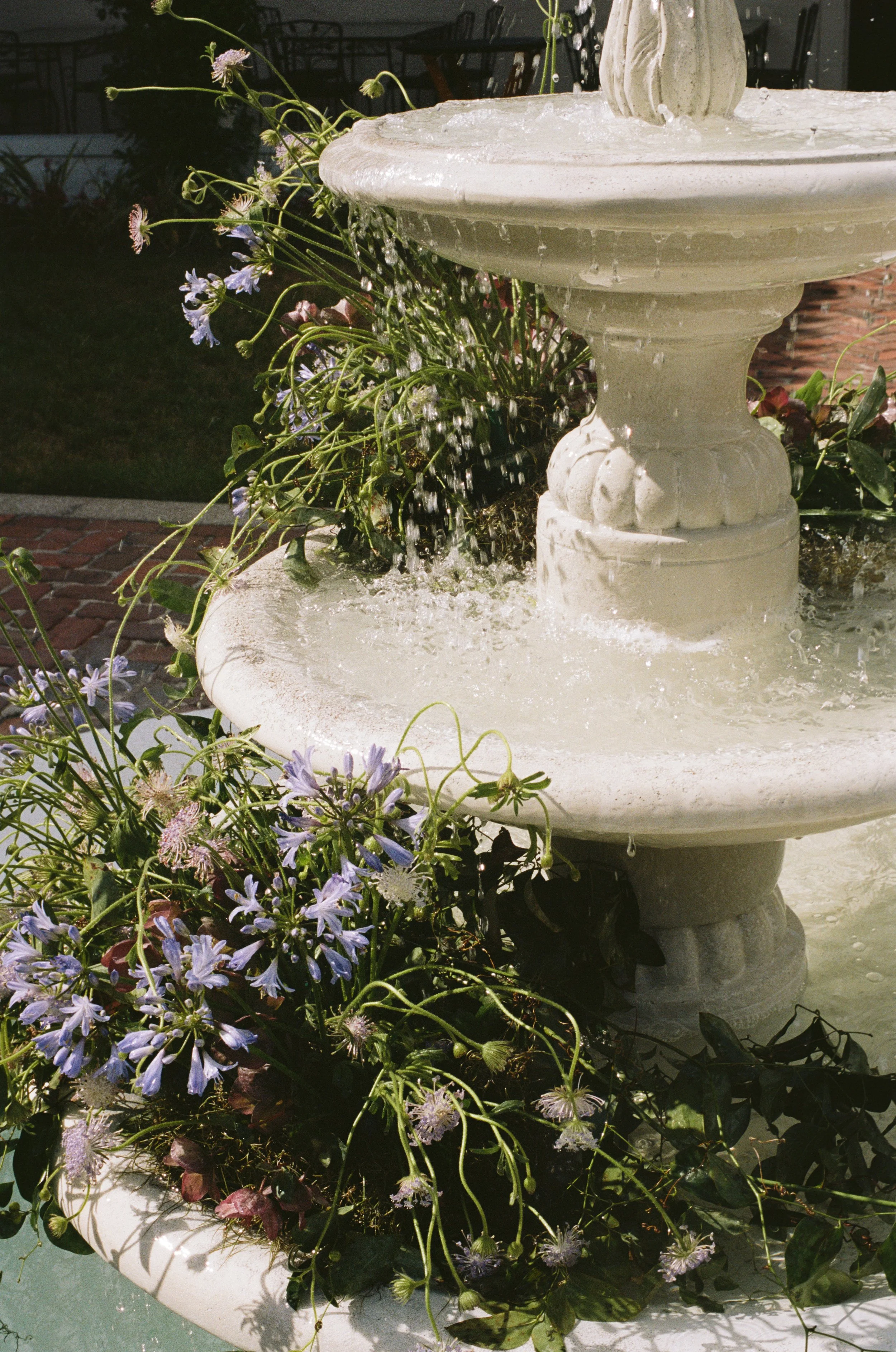 Portra1604-6.jpg