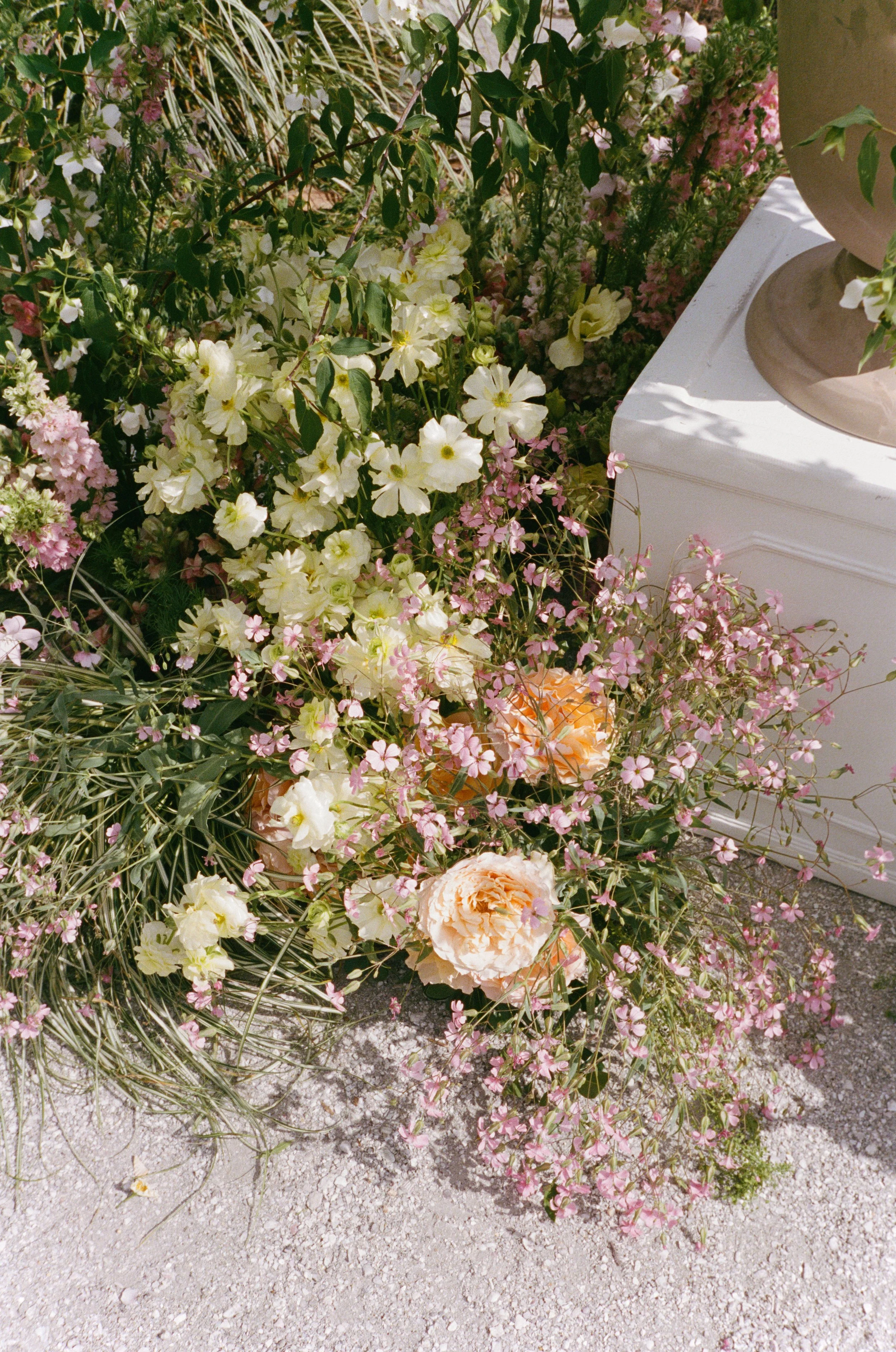 Portra4007-20.jpg