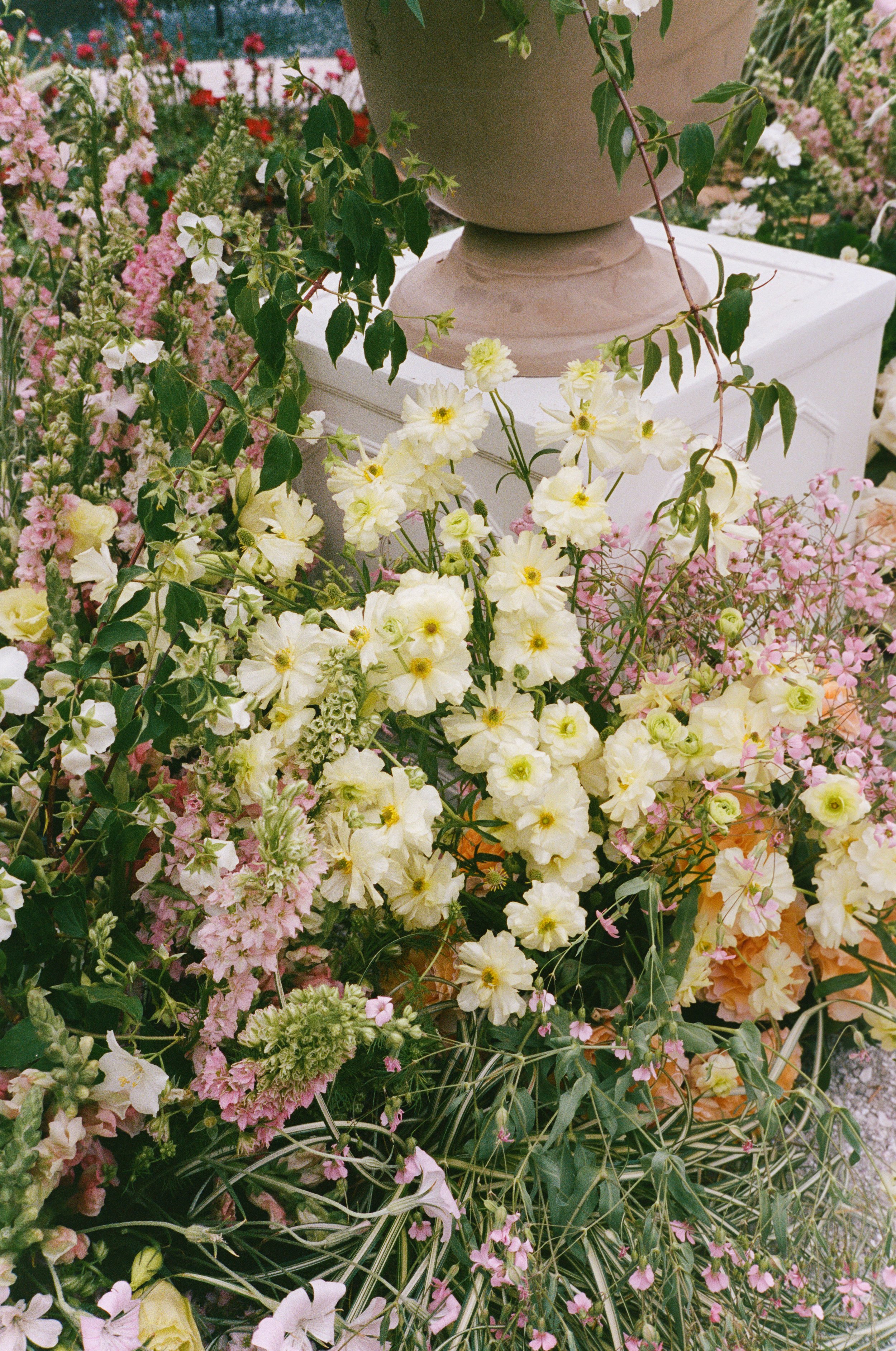 Portra4007-21.jpg