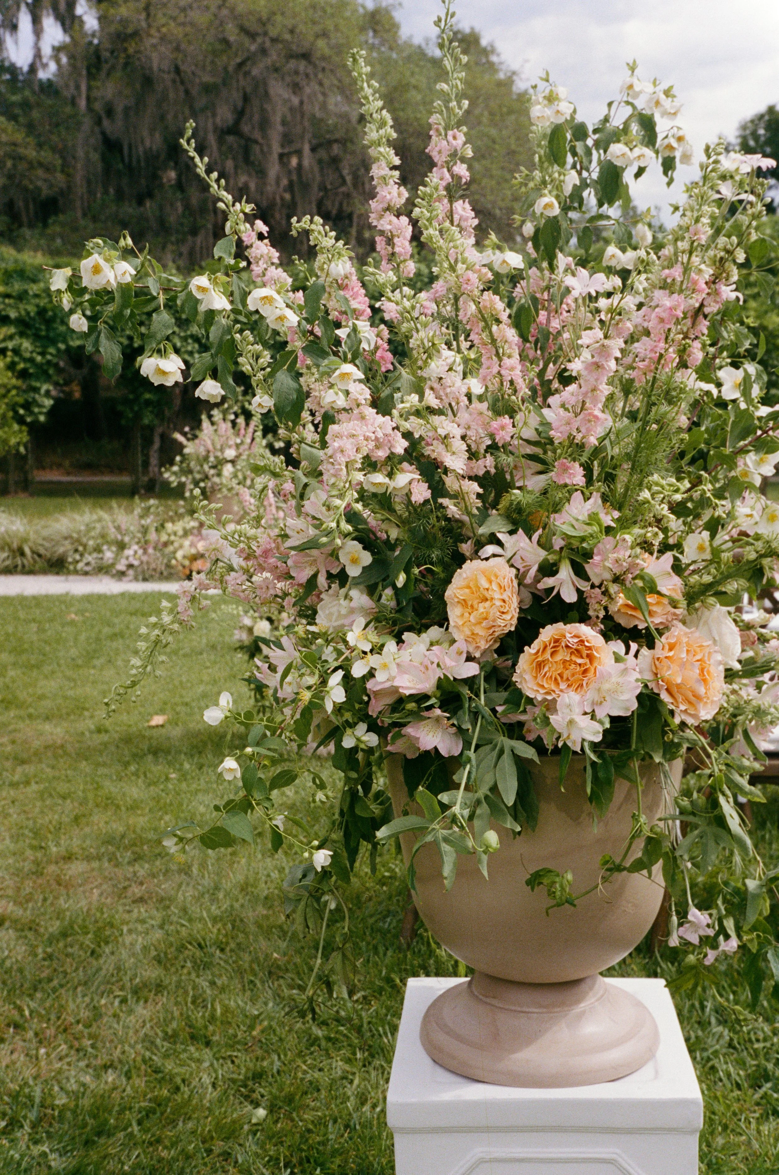 Portra4007-33.jpg