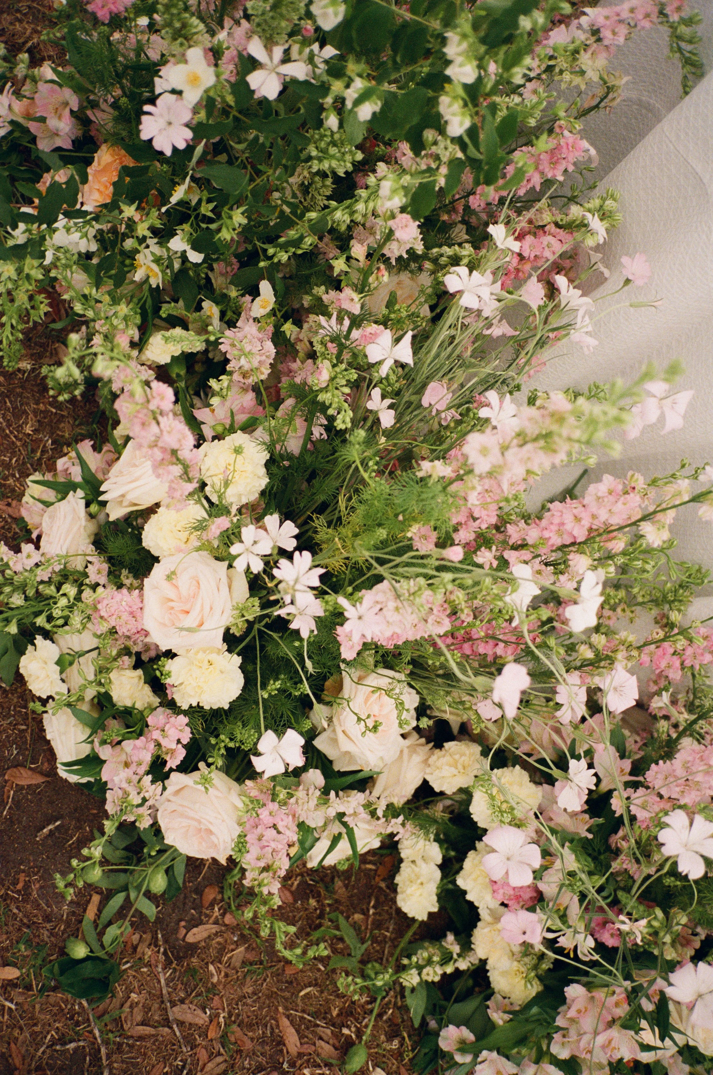 Portra8001-21.jpg