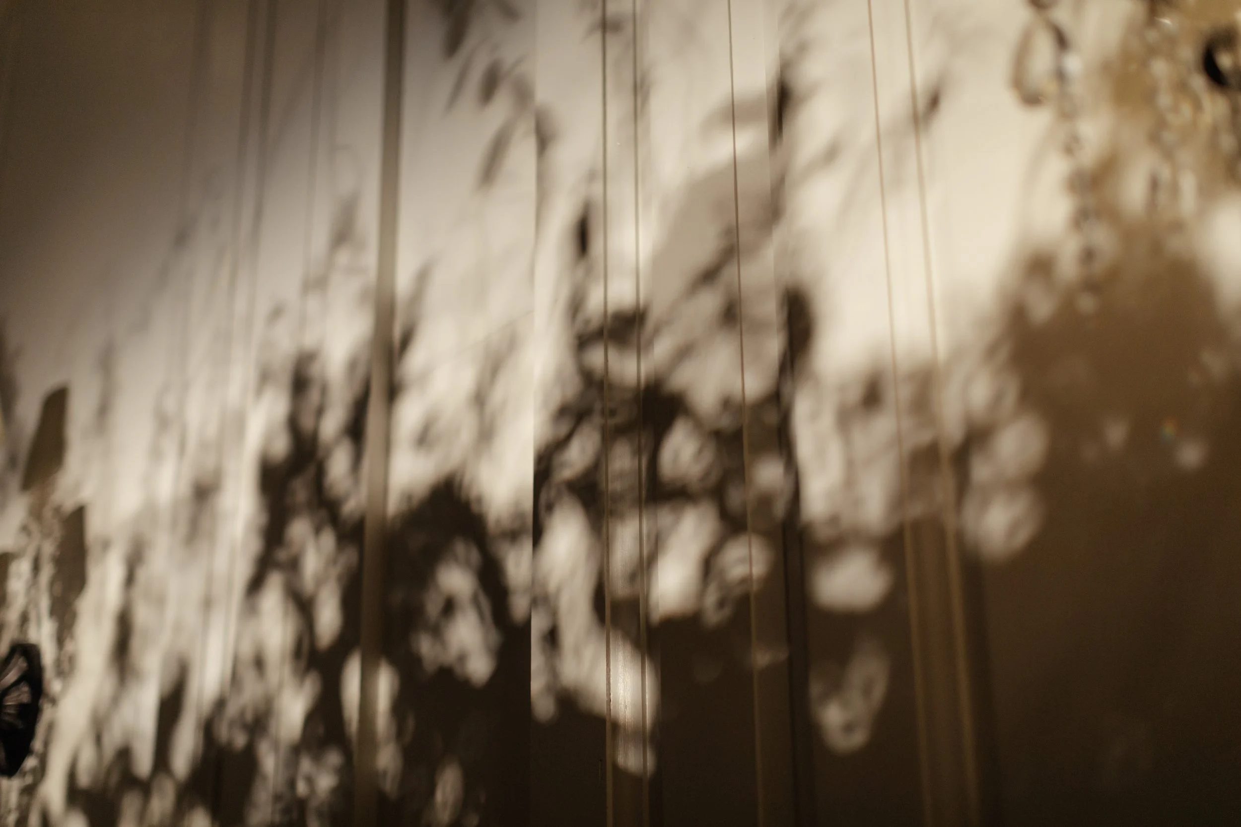 Abby + Matt_0924.jpg