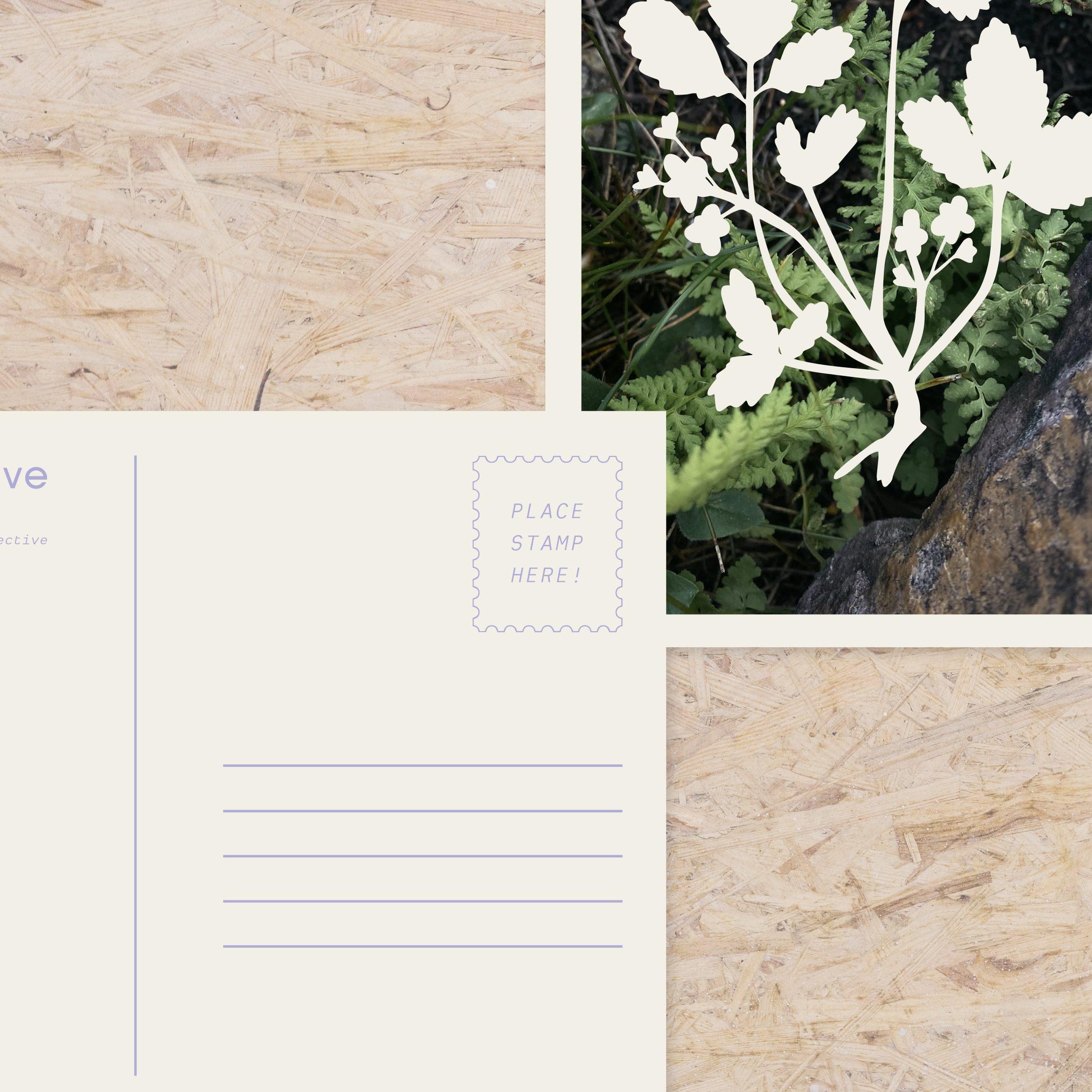 springproducts-05.png