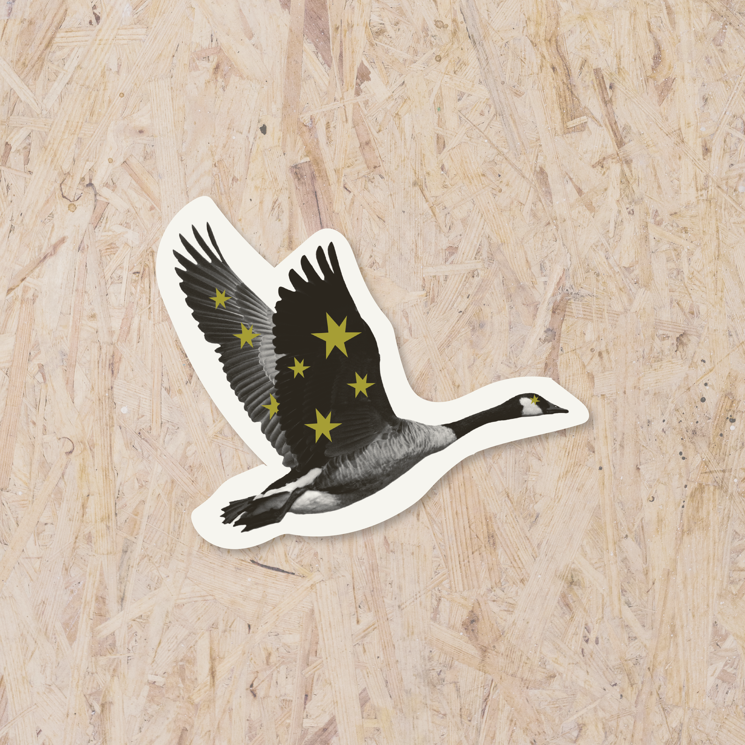 Spring 2026 ProductListings-02.png