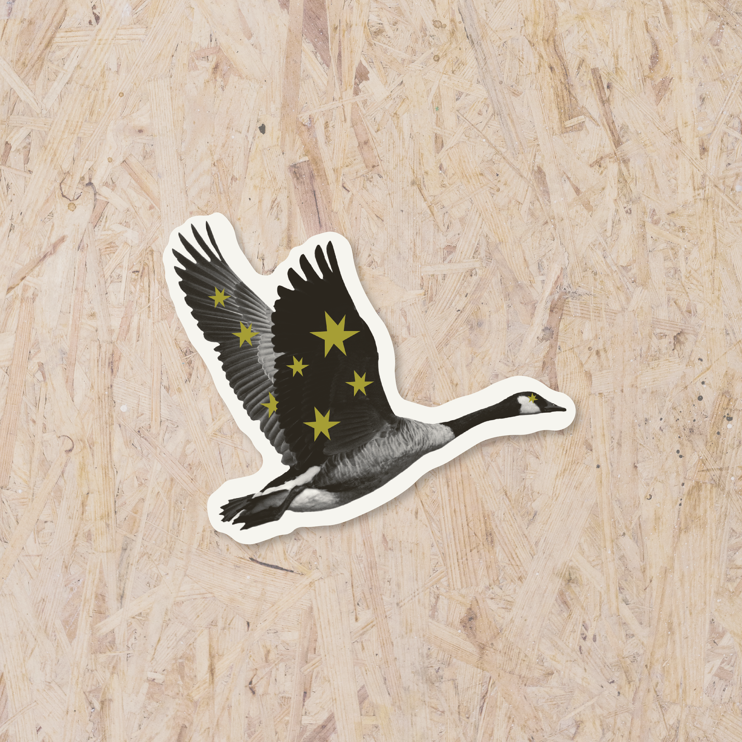 Special Goose.png
