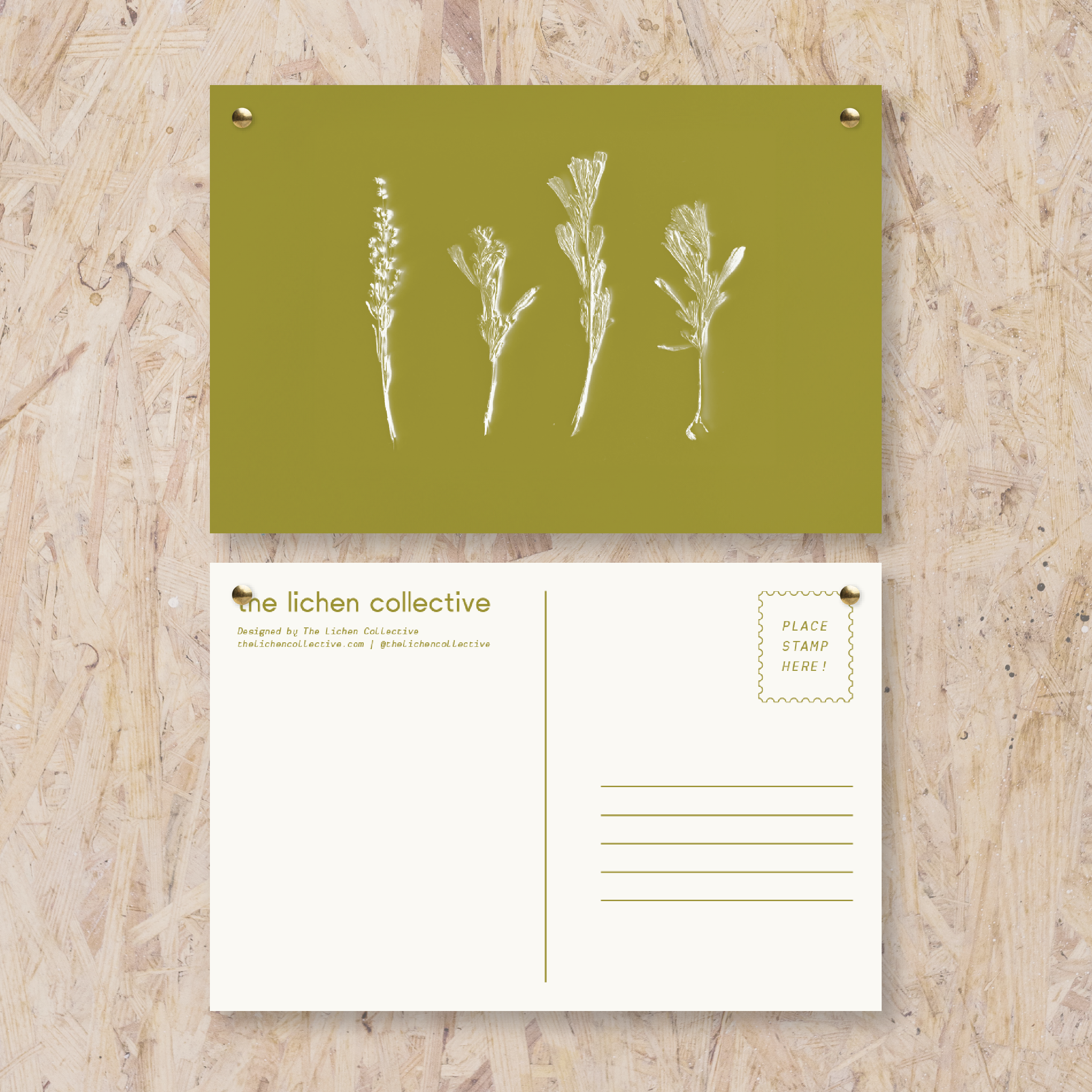 Springtime Shrub - Postcard