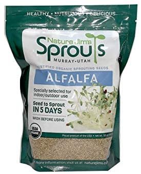 Sprouting Seeds