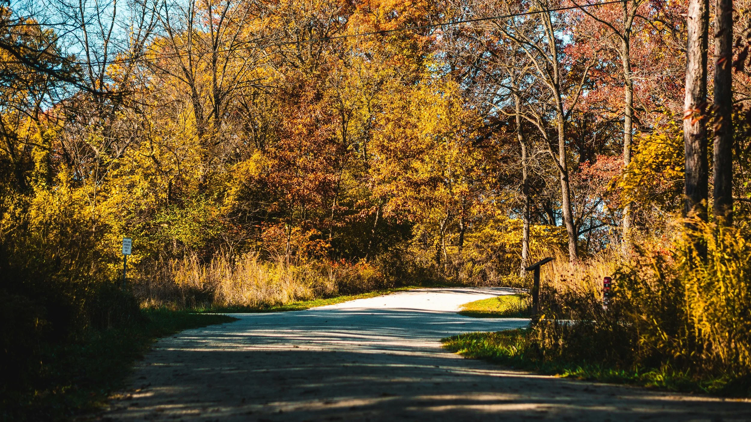 From Awareness to Action: Finding My Way Back to Myself